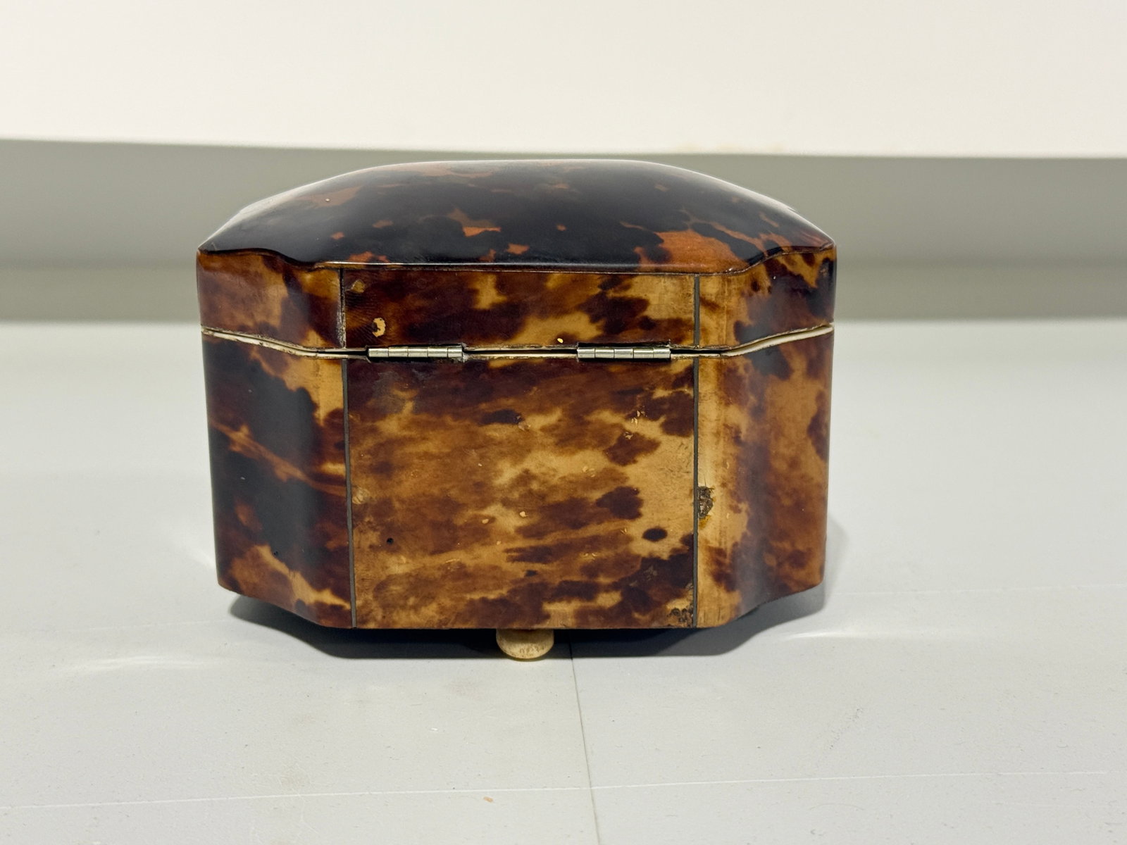 Dutch Regency Tortoiseshell Tea Caddy, Circa 1820 - 3
