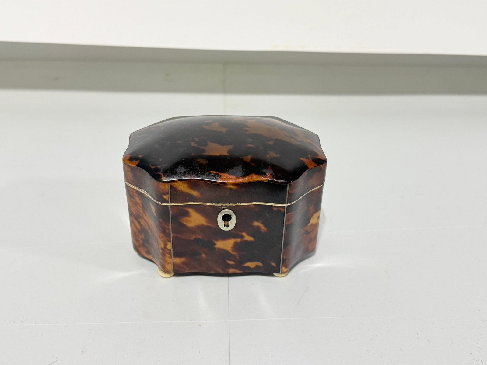 Dutch Regency Tortoiseshell Tea Caddy, Circa 1820 - 5