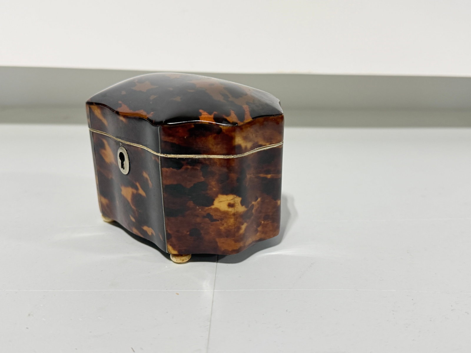 Dutch Regency Tortoiseshell Tea Caddy, Circa 1820 - 6