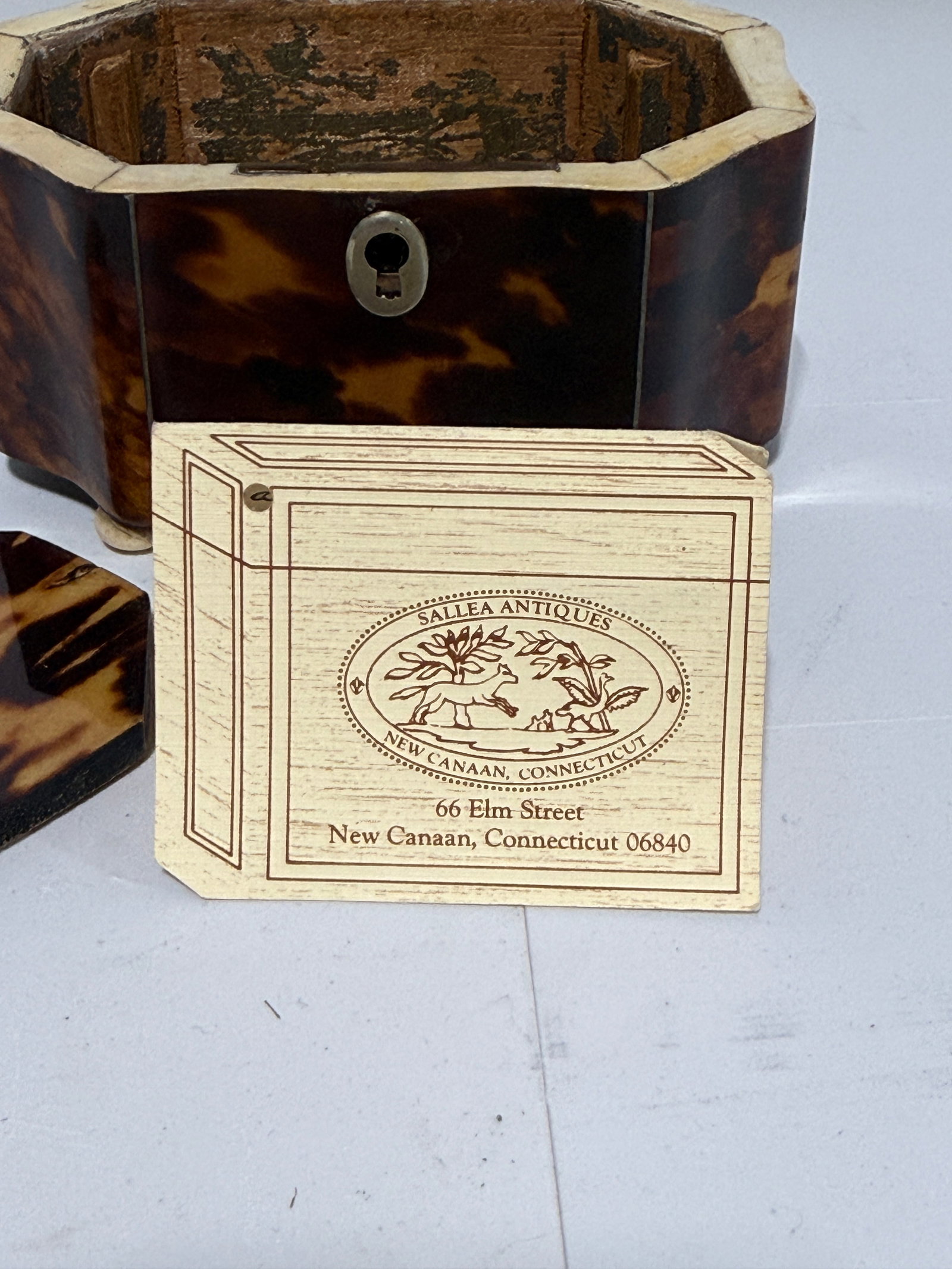 Dutch Regency Tortoiseshell Tea Caddy, Circa 1820 - 8