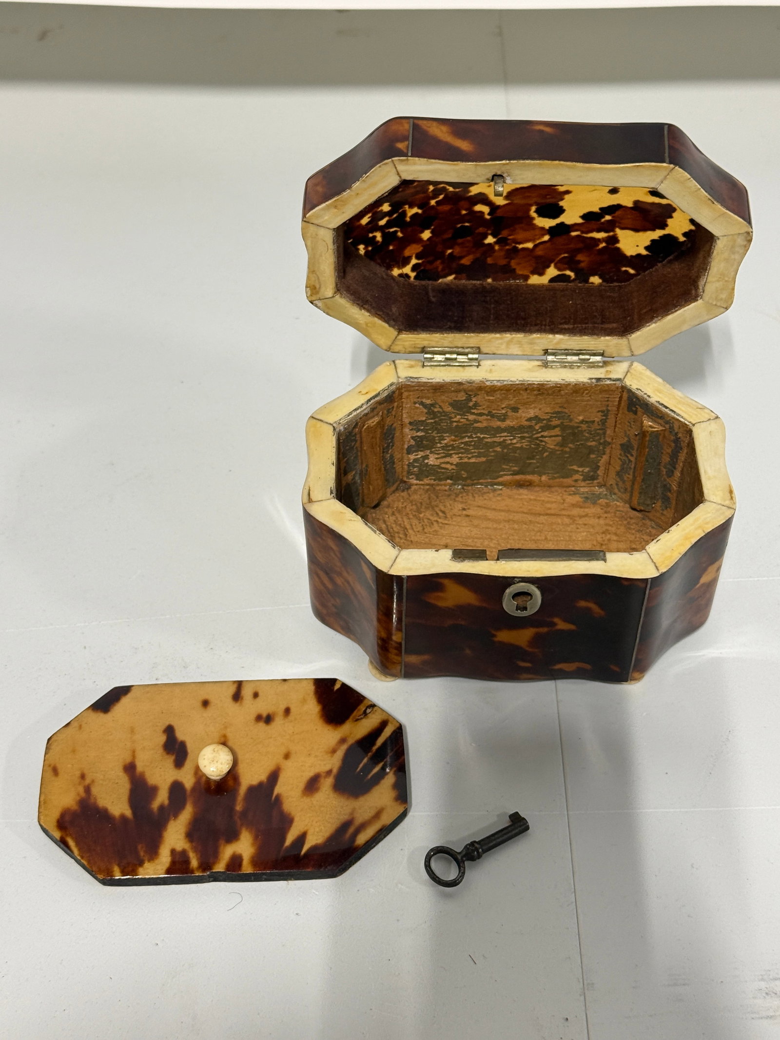 Dutch Regency Tortoiseshell Tea Caddy, Circa 1820 - 9