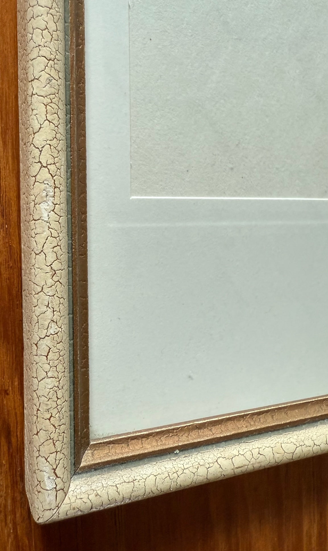 Vintage Framed Botanical Lithograph Featuring Alpine Snowbells - 6
