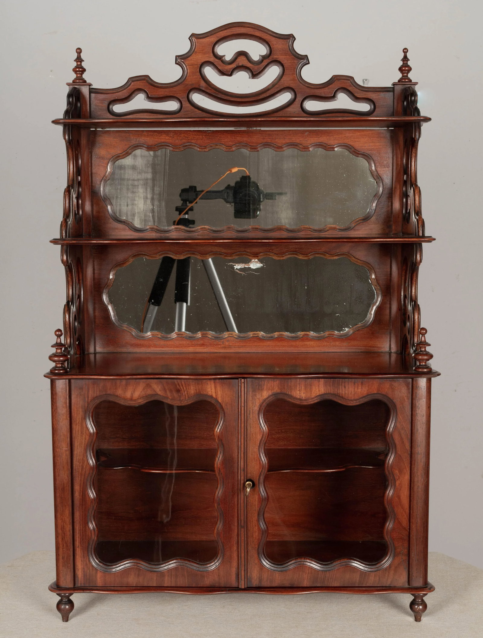 19th Century French Louis Philippe Mahogany Vitrine - 5