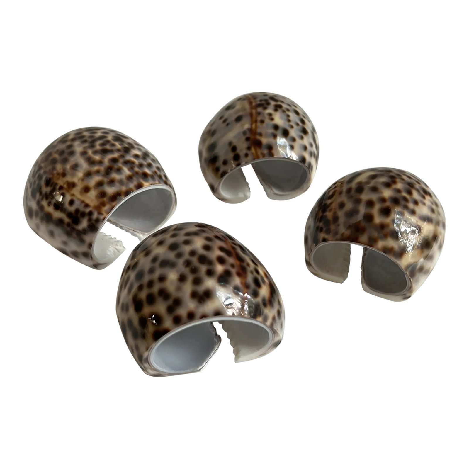 Tiger Shell Napkin Rings-4: The perfect addition to your summer table, tiger shell napkin rings. 4 Pieces. COMBINED SHIPPING AVAILABLE WITH ALL ITEMS IN MY SHOP. Condition: Alterations: Original Condition Unaltered