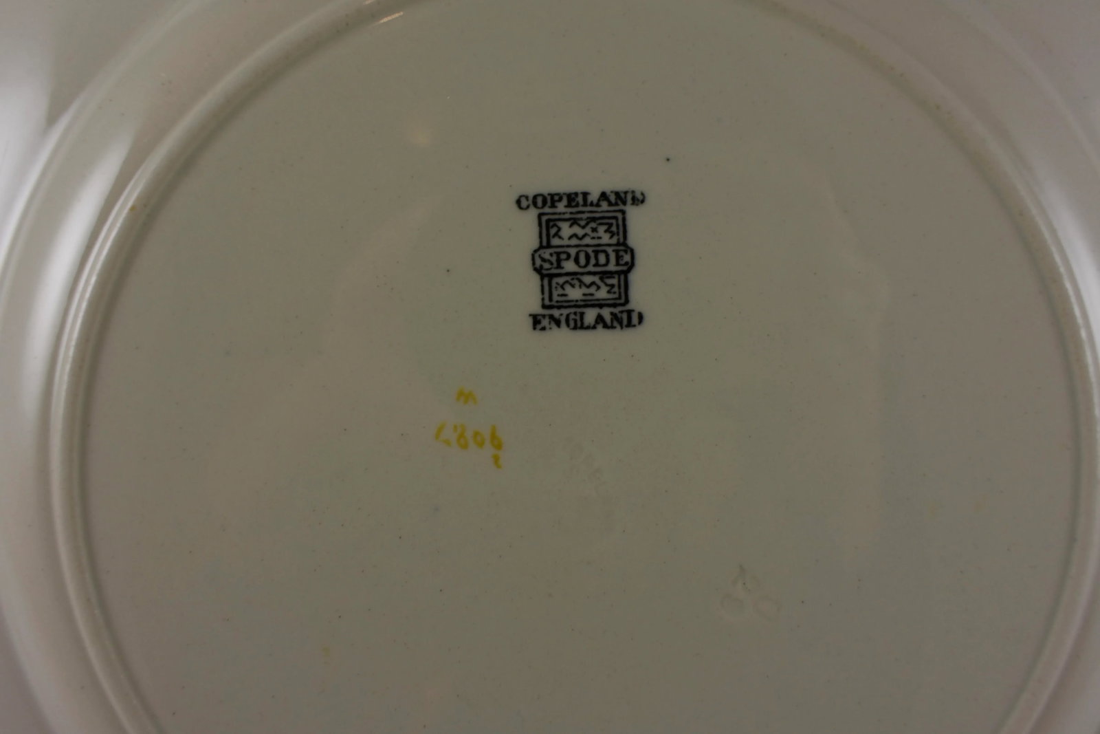 Copeland Spode English Transferware Cactus Flower Dinner Plates- Set of 6 - 9