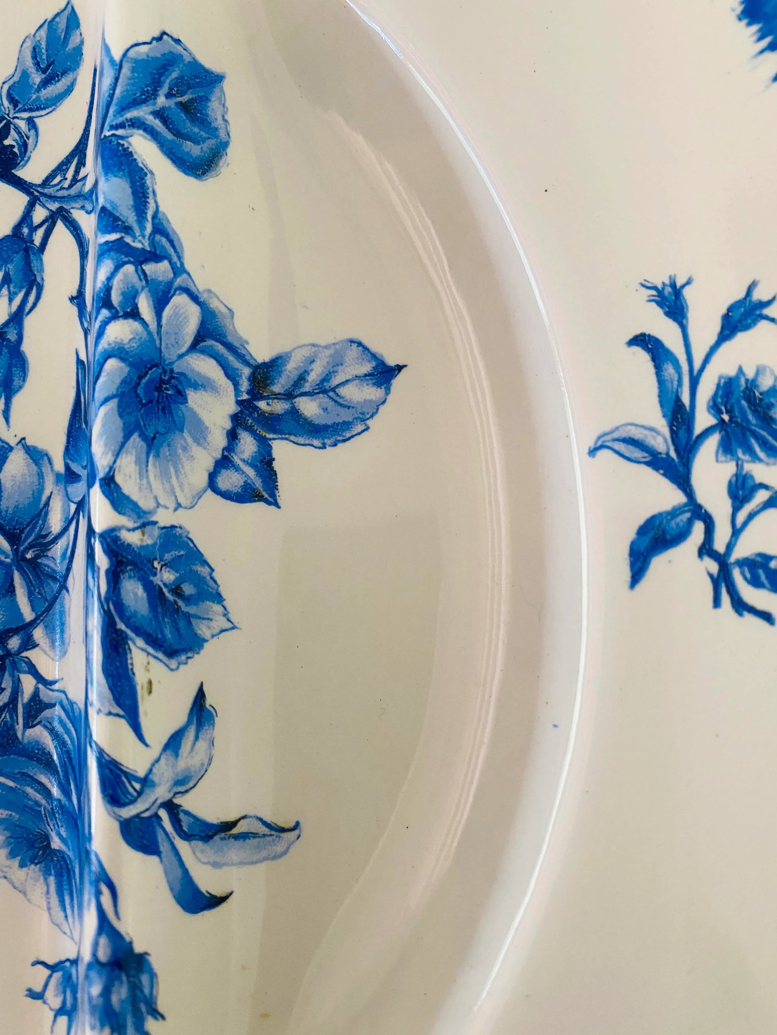 Ironstone Asparagus Plate Vintage French Transferware Blue Floral - 7