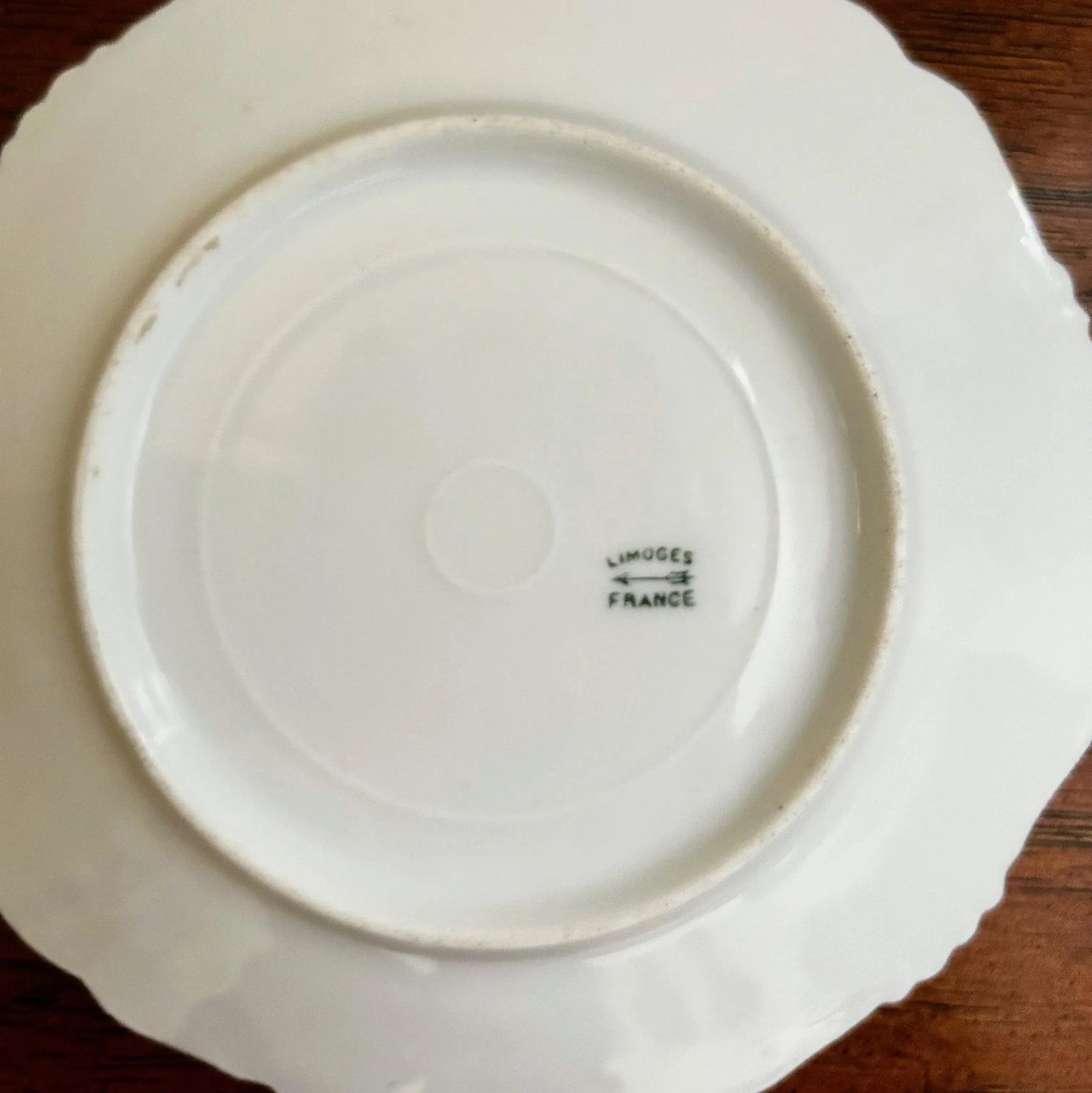 Antique Belle Epoque Limoges/Laviolette Forget-Me-Not Decorative Plate - 10