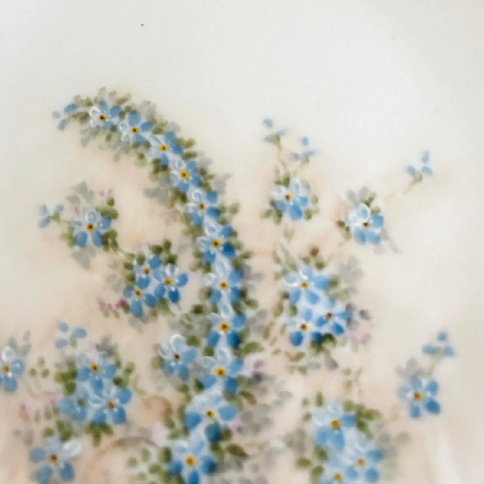 Antique Belle Epoque Limoges/Laviolette Forget-Me-Not Decorative Plate - 7