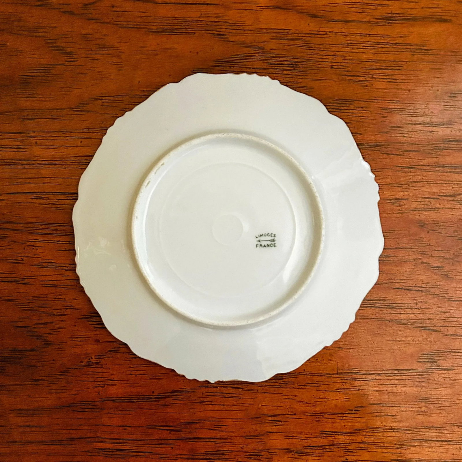 Antique Belle Epoque Limoges/Laviolette Forget-Me-Not Decorative Plate - 9