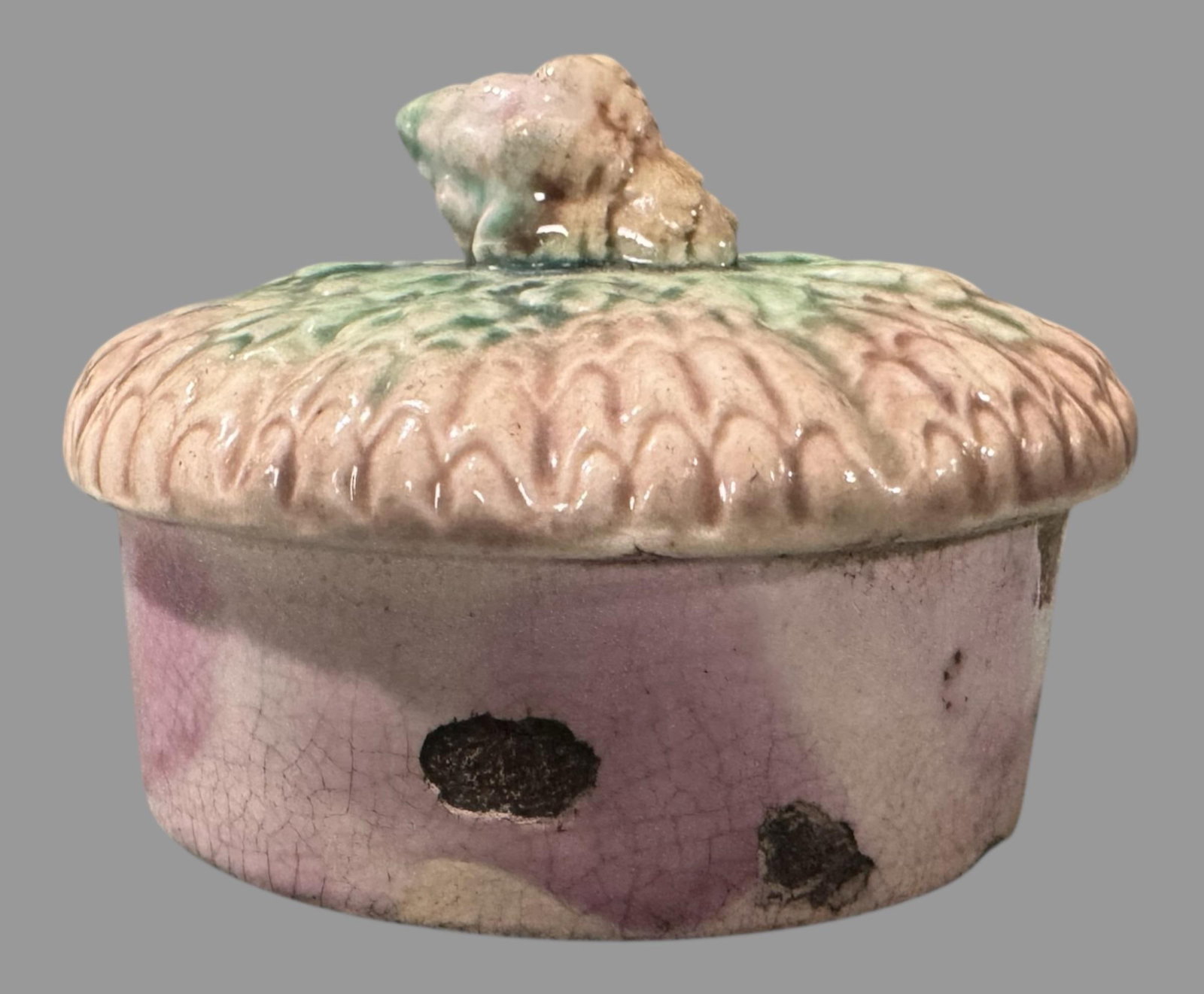 Antique Etruscan Majolica Shell & Seaweed Teapot - 3