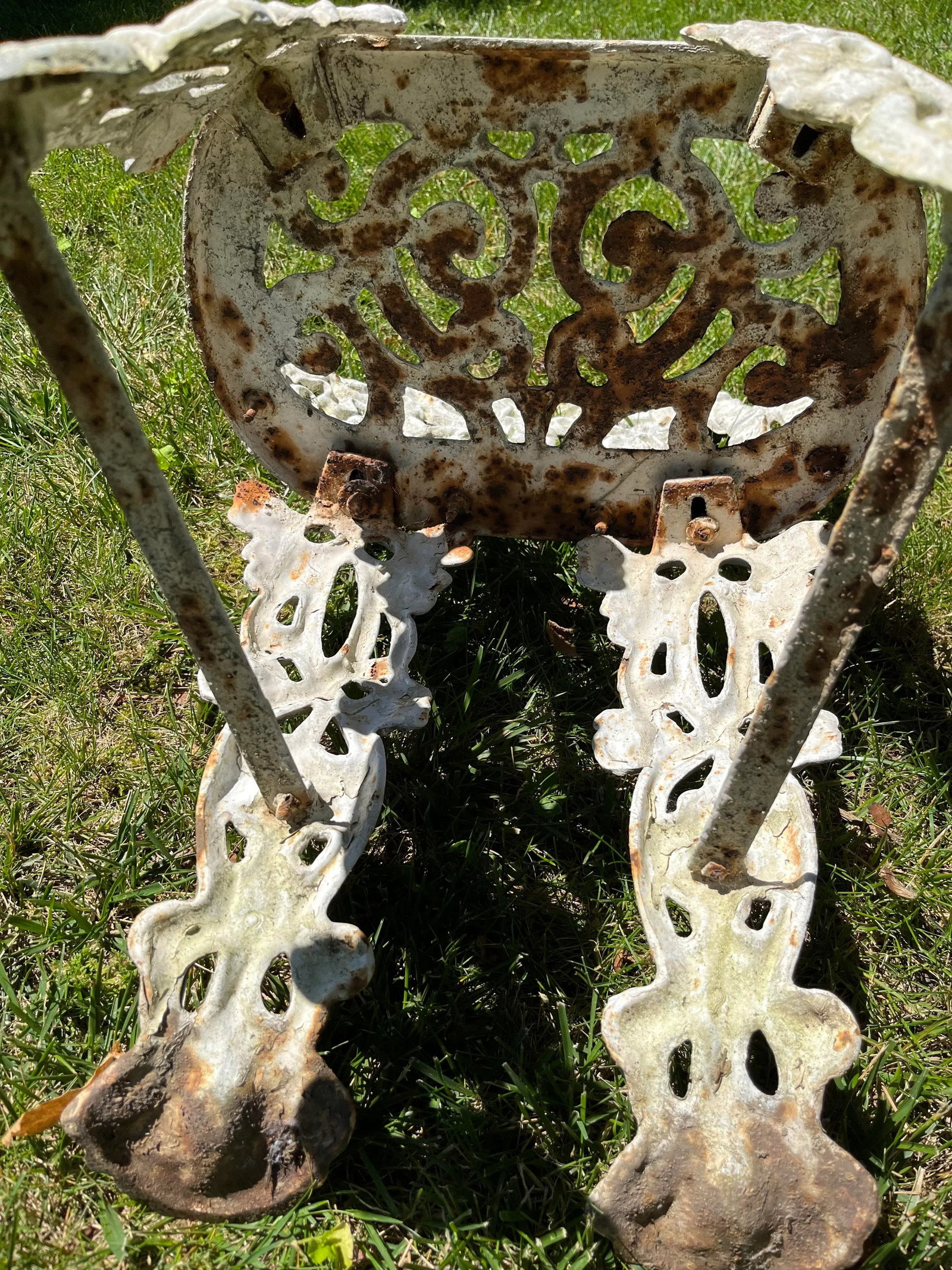 1900s Cast Iron Garden Chairs With Grape Vine Motifs - a Pair - 7
