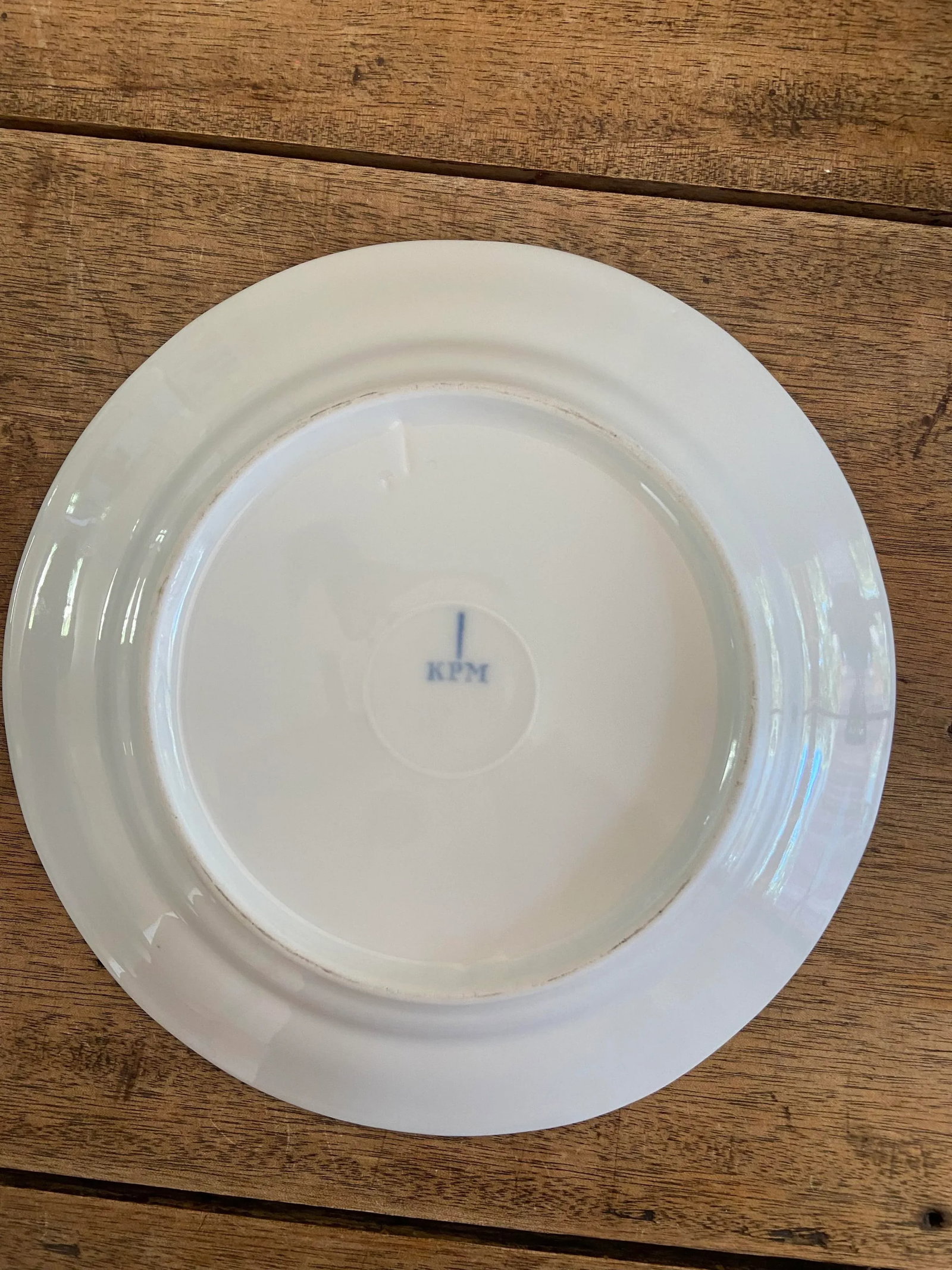 Antique 19th Century Kpm Porcelain Lunch Plates - Set of 11 - 3