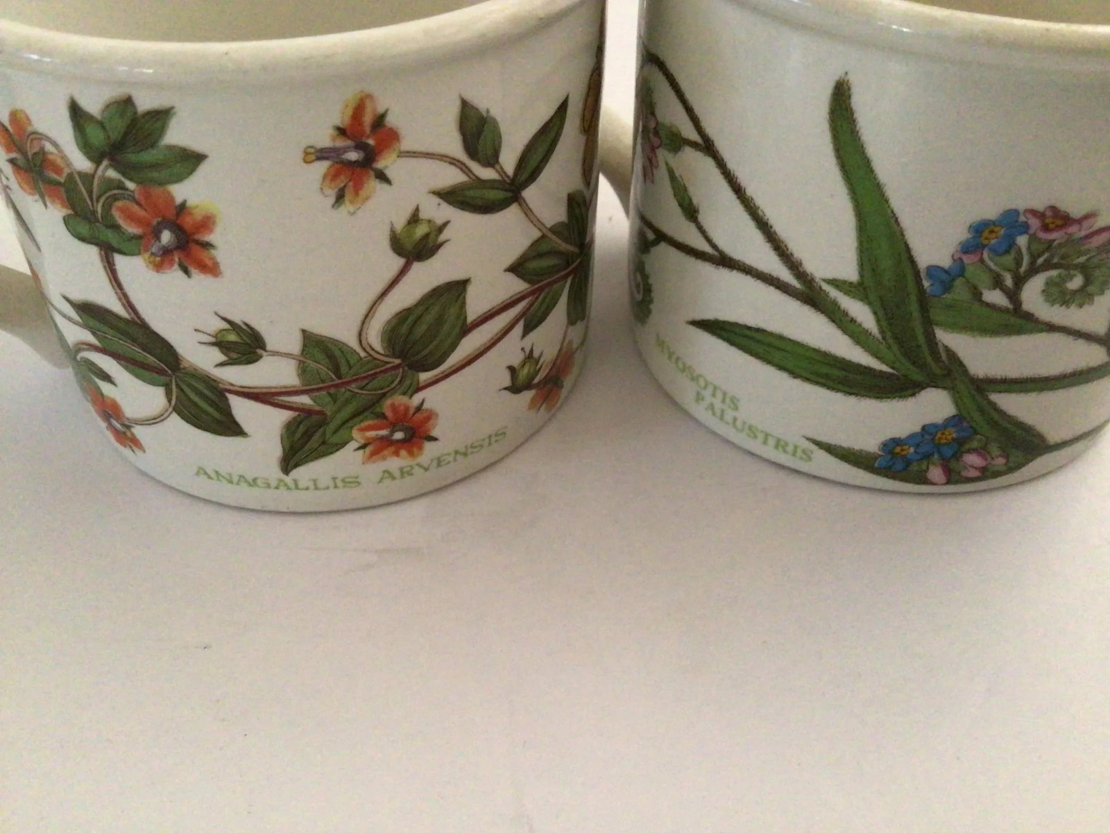 Portmeirion Botanic Garden Teacups & Saucers - Set of 4 - 7