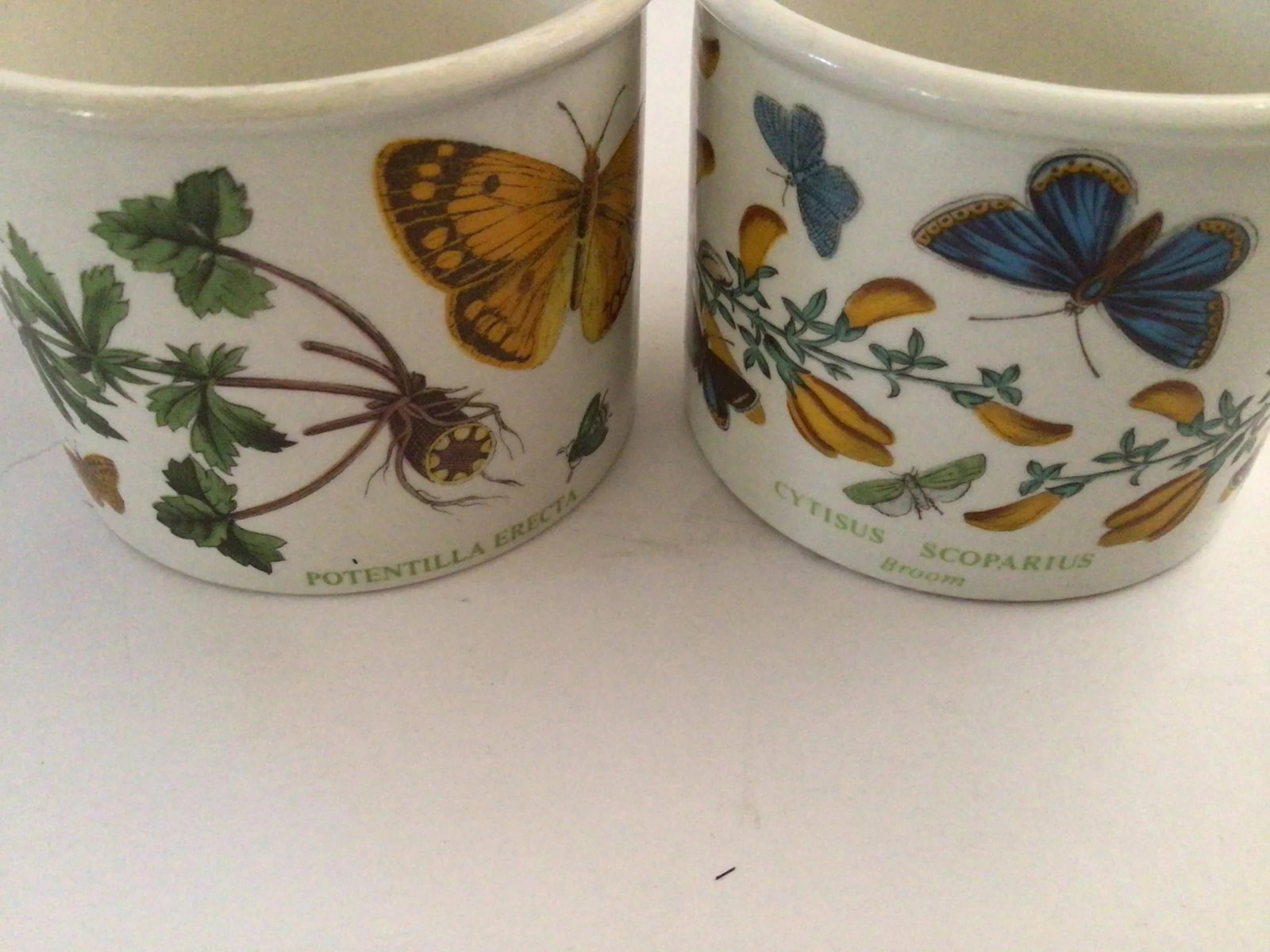 Portmeirion Botanic Garden Teacups & Saucers - Set of 4 - 8