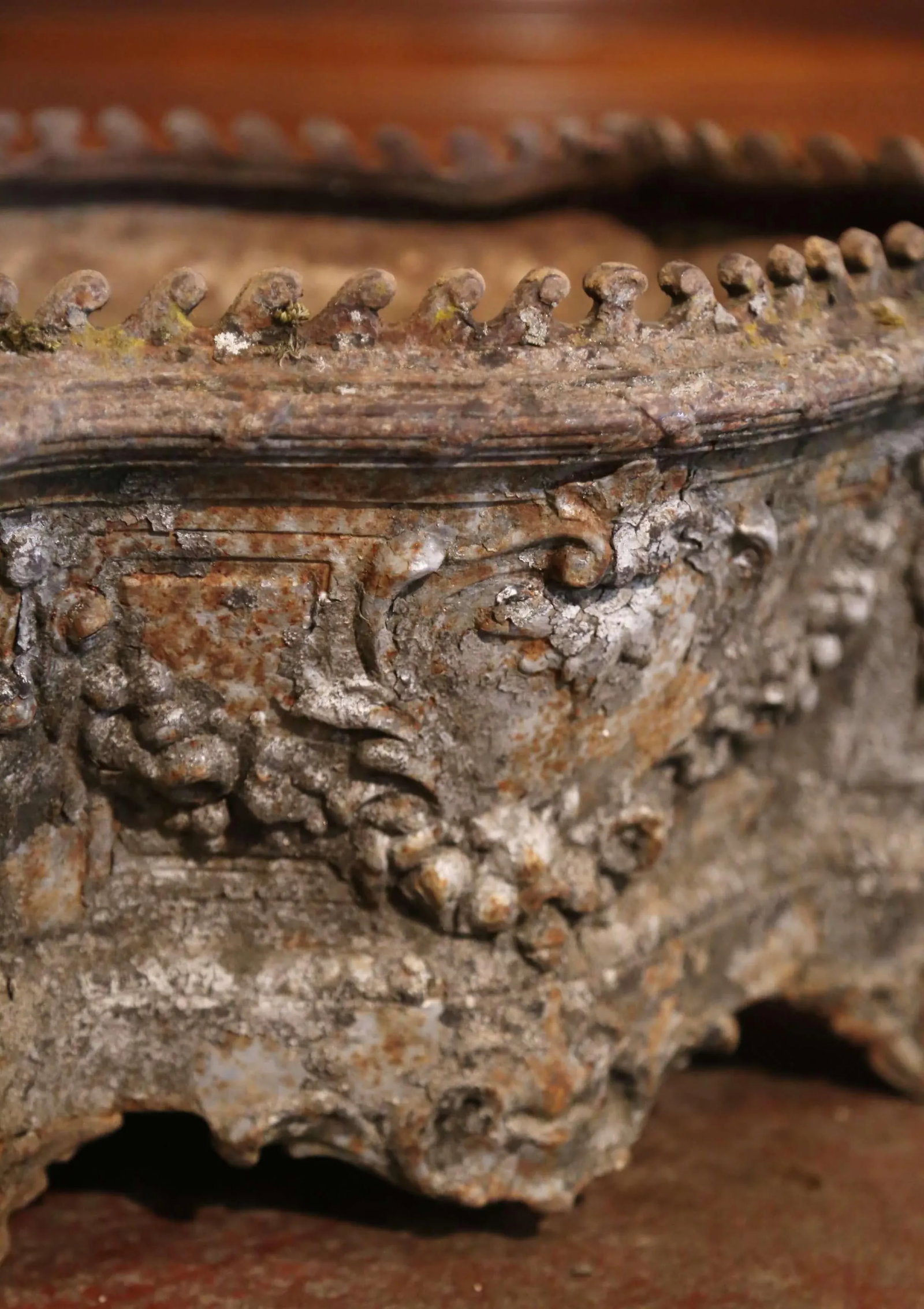 Early 19th Century French Weathered Iron Outdoor Planter Box Jardiniere - 6