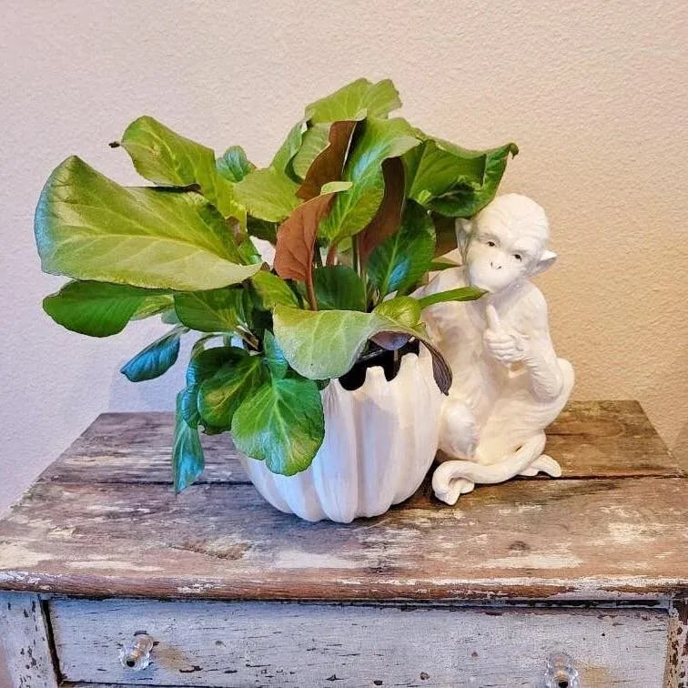 1980s Hollywood Regency Ceramic Monkey Cachepot/Planter - 7