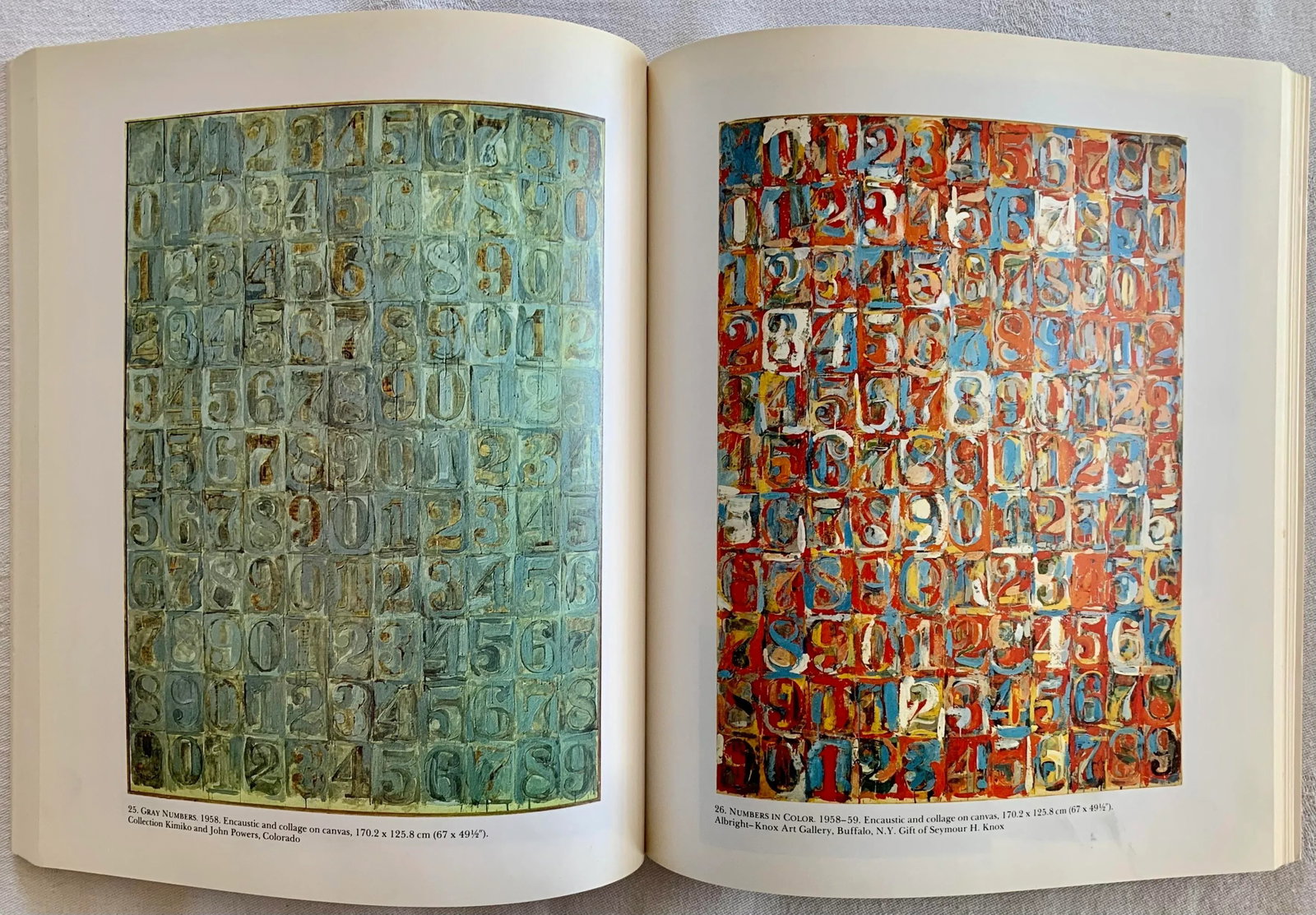 Jasper Johns Catalog, by Michael Crichton - 7