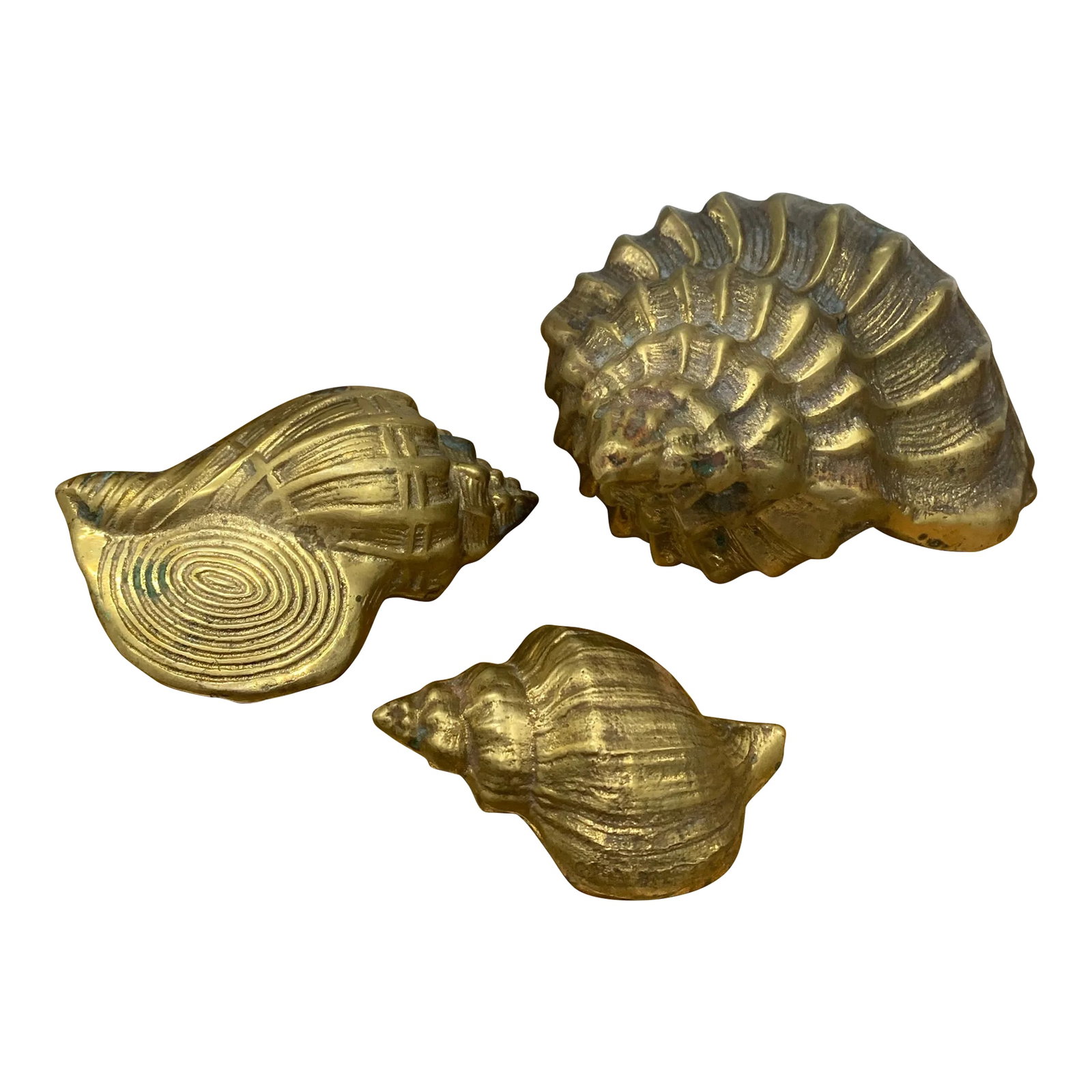 Vintage Set of 3 Brass Sea Shell Sculptures: Vintage Set of 3 Brass Sea Shell Sculptures. Large: 8" x 6" x 3.75" Medium: 5" x 3.5" x 2.25" Small: 4" x 2.5" x 2" Condition: Alterations: Original Condition Unaltered Imperfections: Some