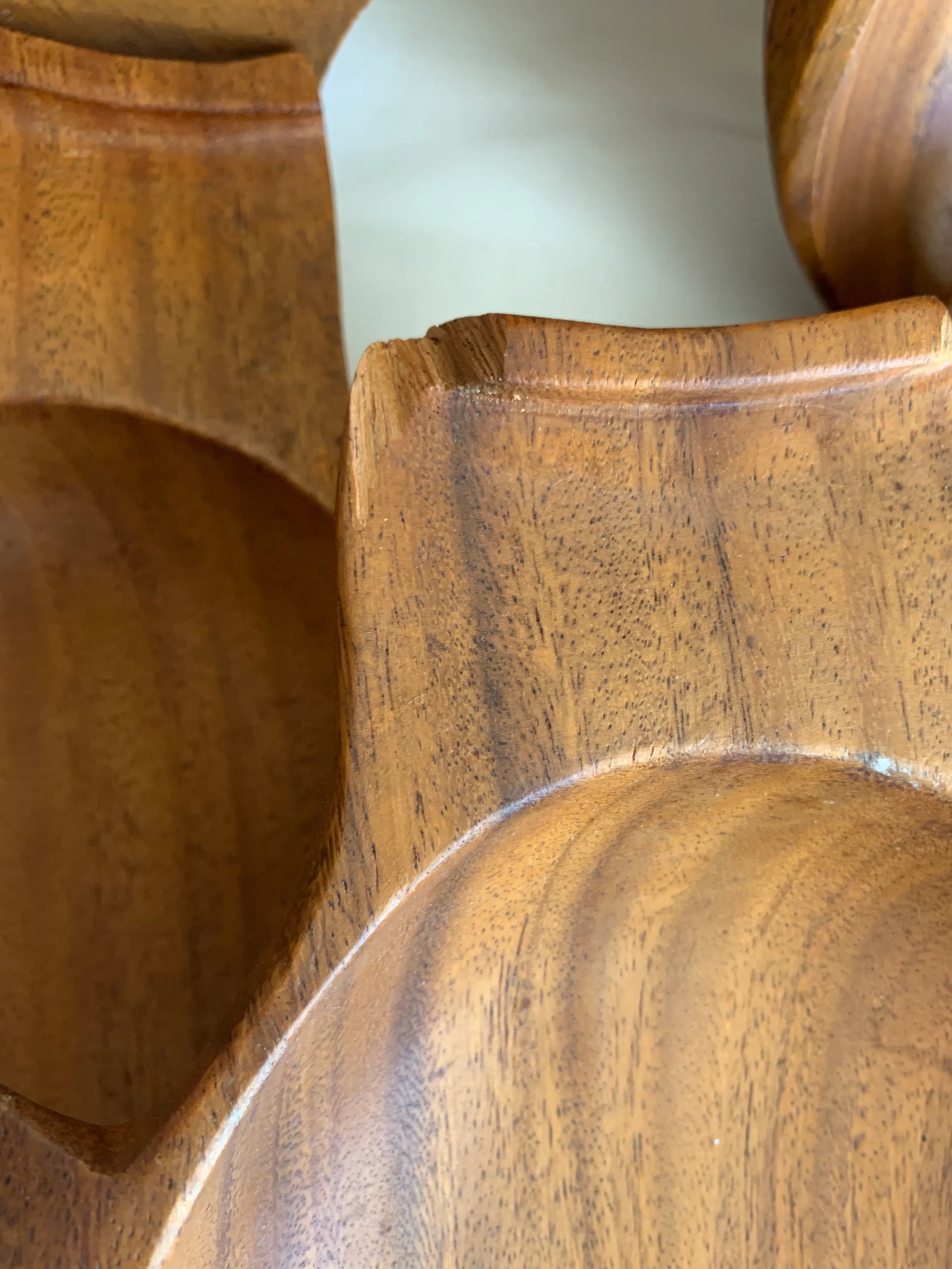 Fish Shaped Monkey Pod Wood Bowls & Spoons - 8