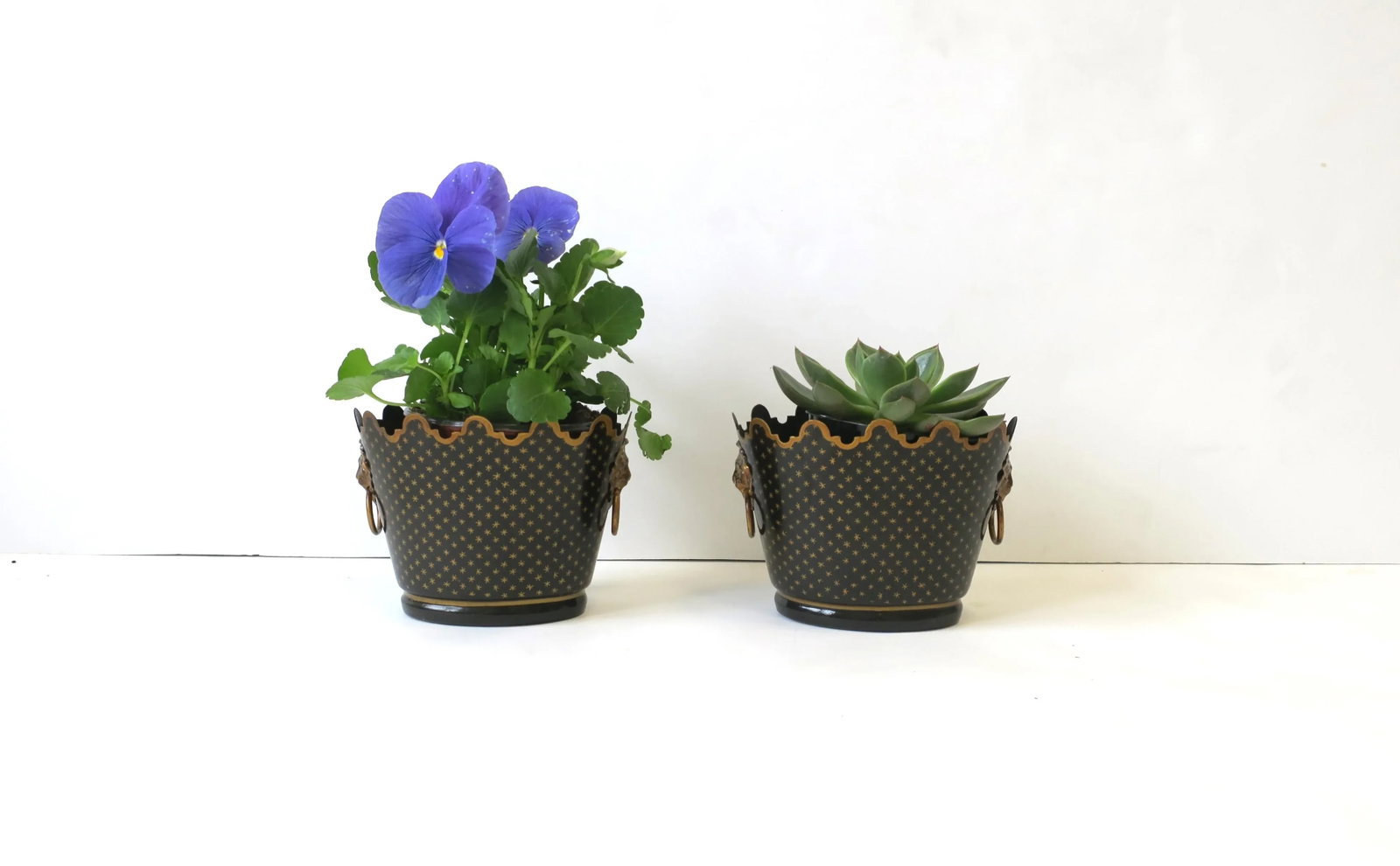 Italian Black & Gold Tole Cachepot Jardiniere Lion Head Planters, Pair - 3