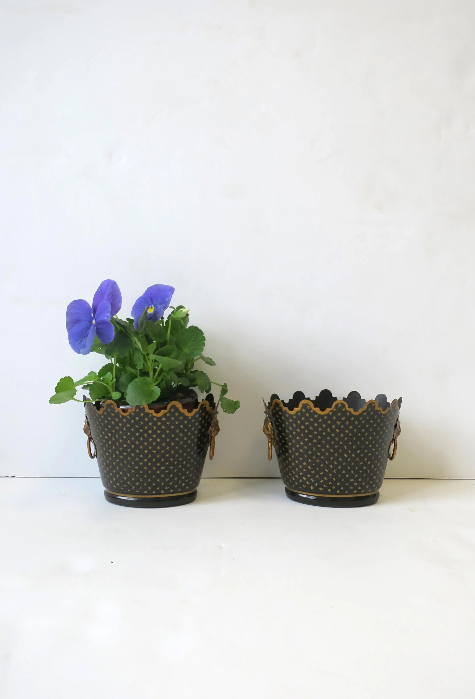 Italian Black & Gold Tole Cachepot Jardiniere Lion Head Planters, Pair - 6
