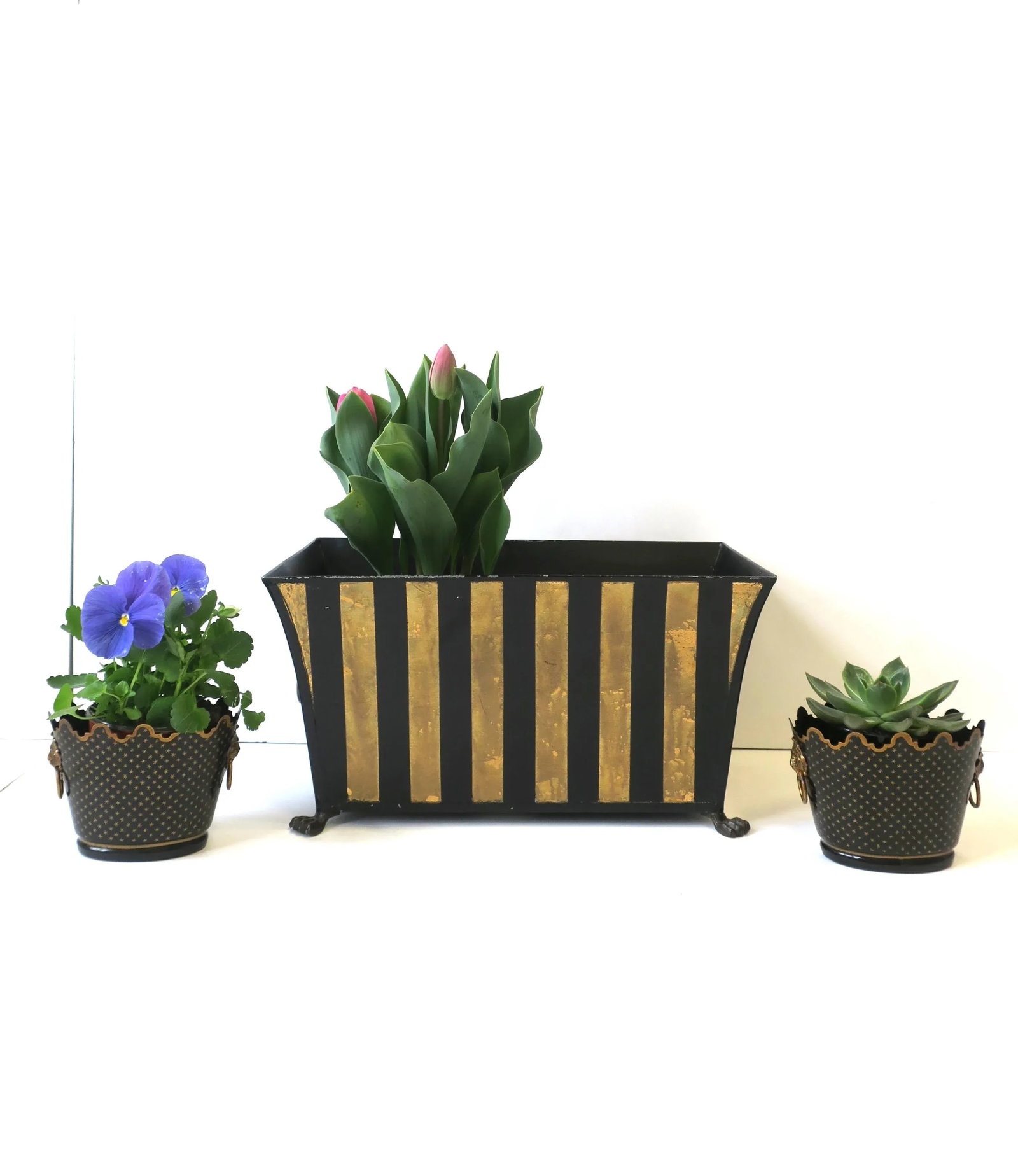 Italian Black & Gold Tole Cachepot Jardiniere Lion Head Planters, Pair - 8