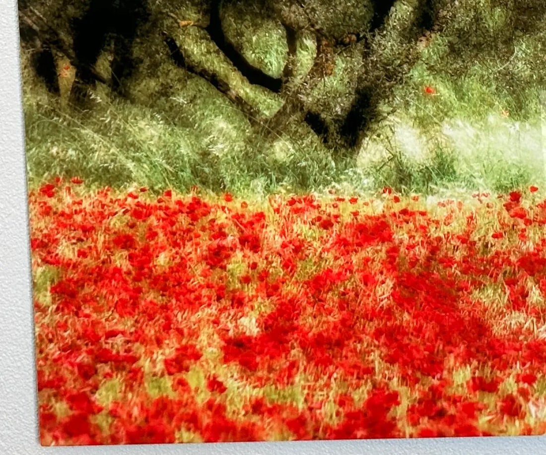 "Field With Poppies and Olive Trees" Photo Print - 2