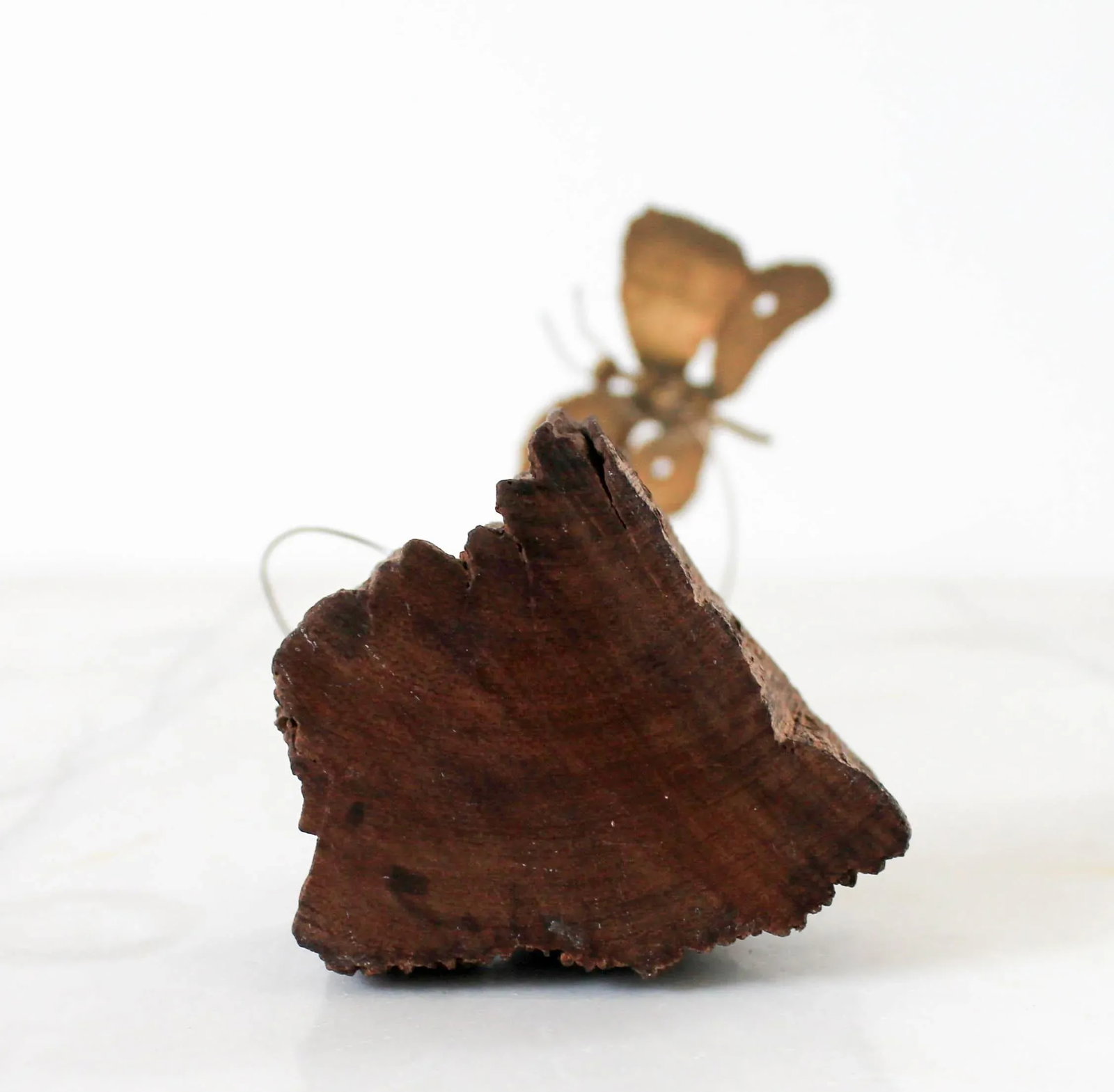 Brutalist Bouncing Butterfly on Wood Base - 5