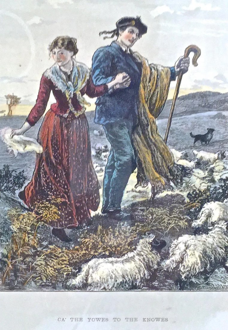 Antique Scottish Sheep Herding Engraving - 3