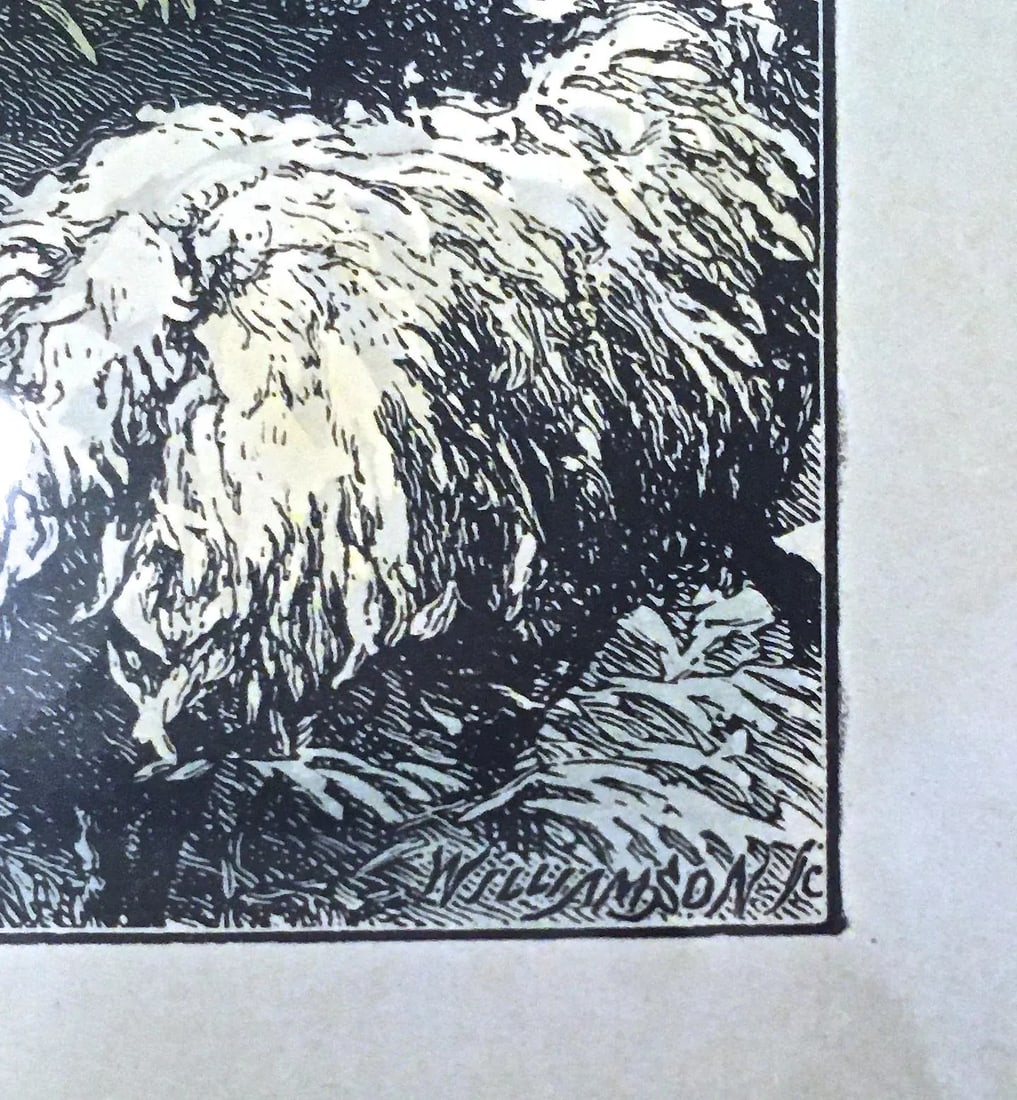 Antique Scottish Sheep Herding Engraving - 6