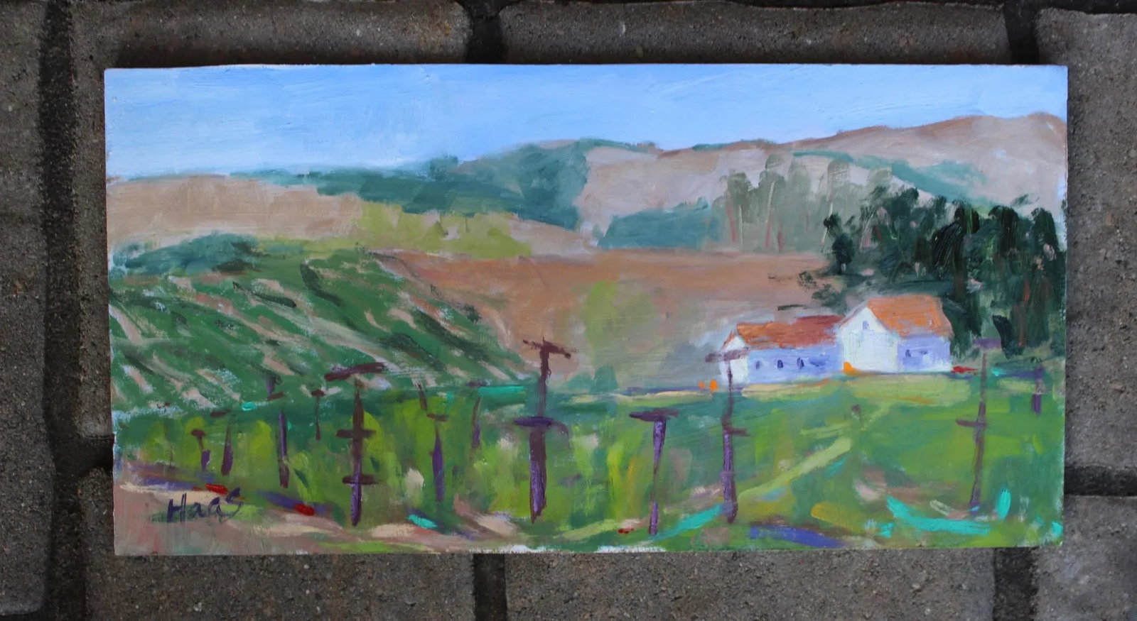 Sonoma Vines, Contemporary Plein Air Oil Painting - 2