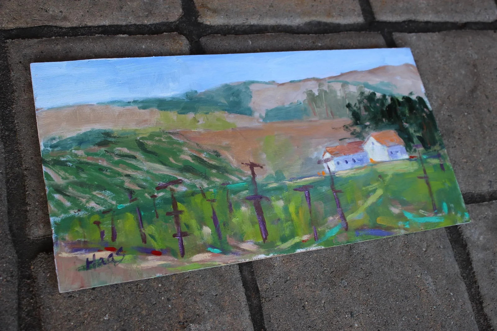Sonoma Vines, Contemporary Plein Air Oil Painting - 3