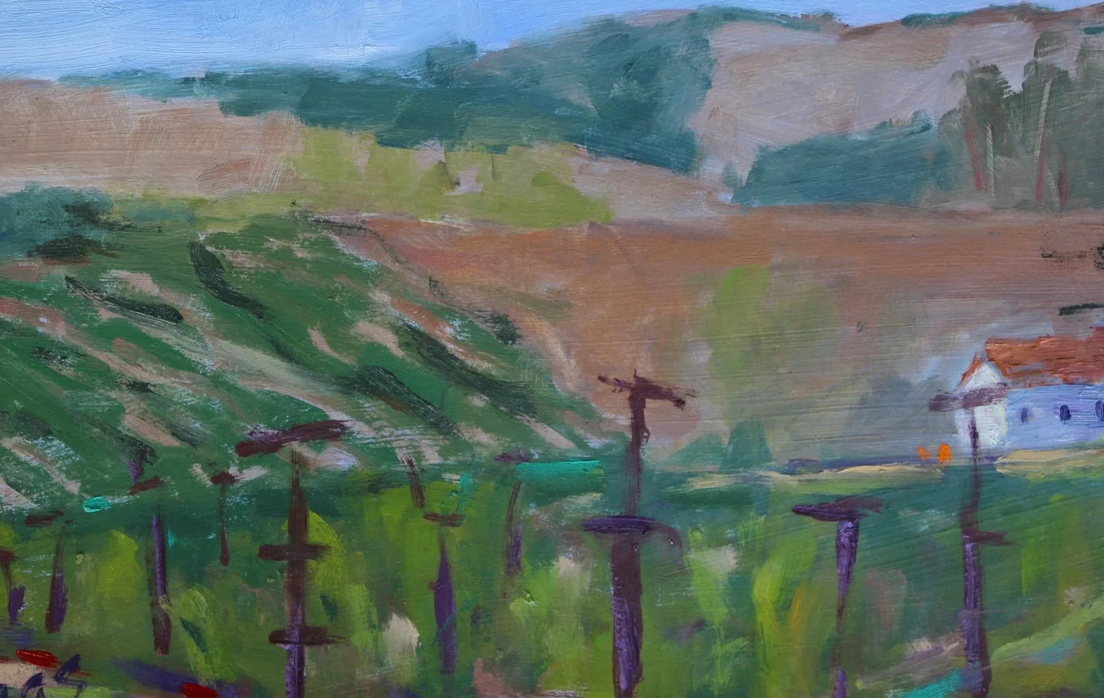 Sonoma Vines, Contemporary Plein Air Oil Painting - 4