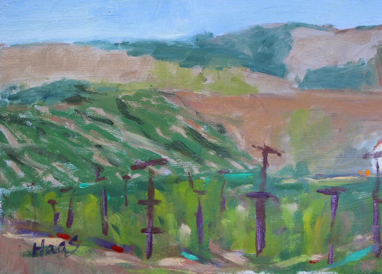 Sonoma Vines, Contemporary Plein Air Oil Painting - 5