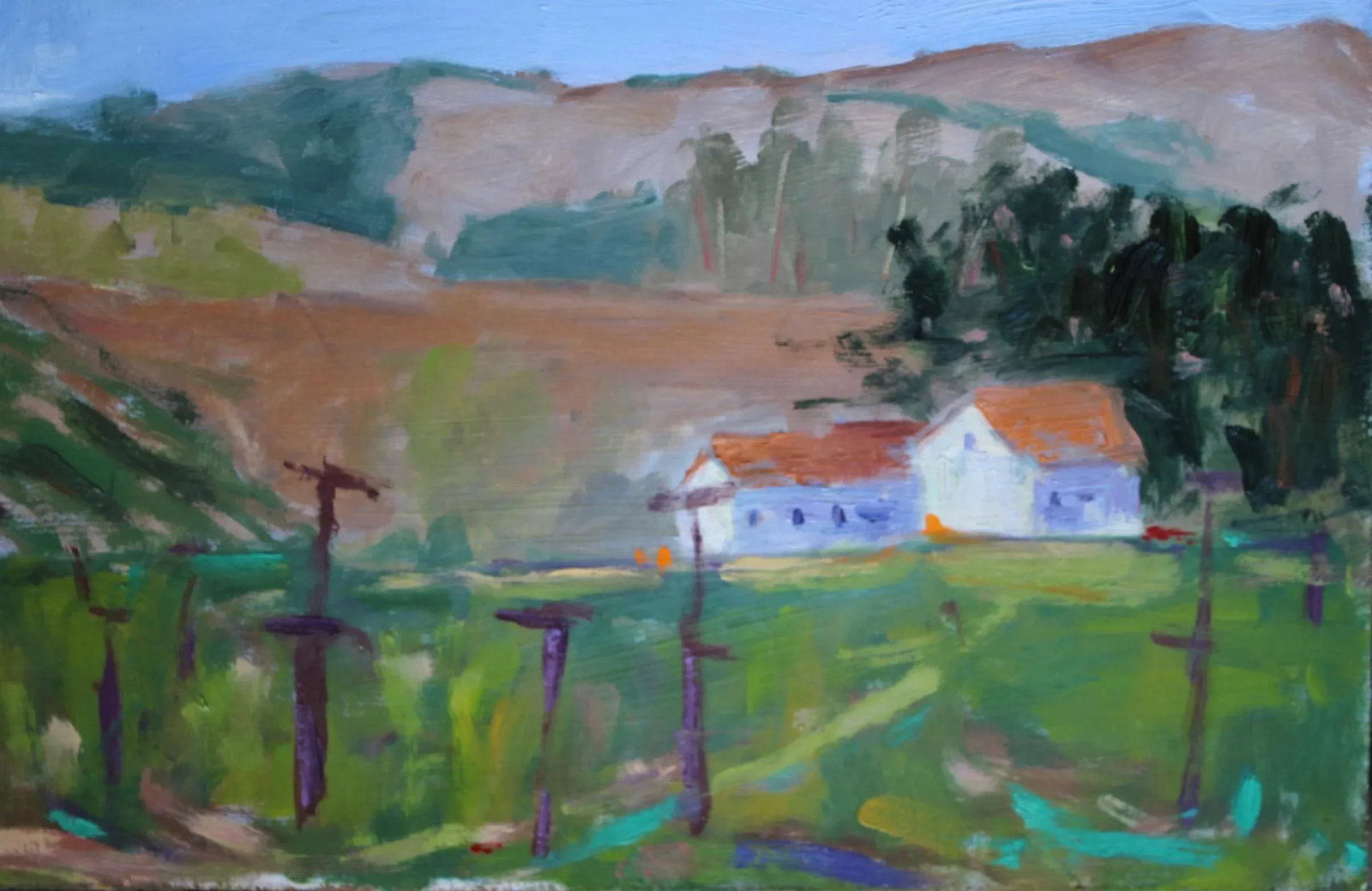 Sonoma Vines, Contemporary Plein Air Oil Painting - 6