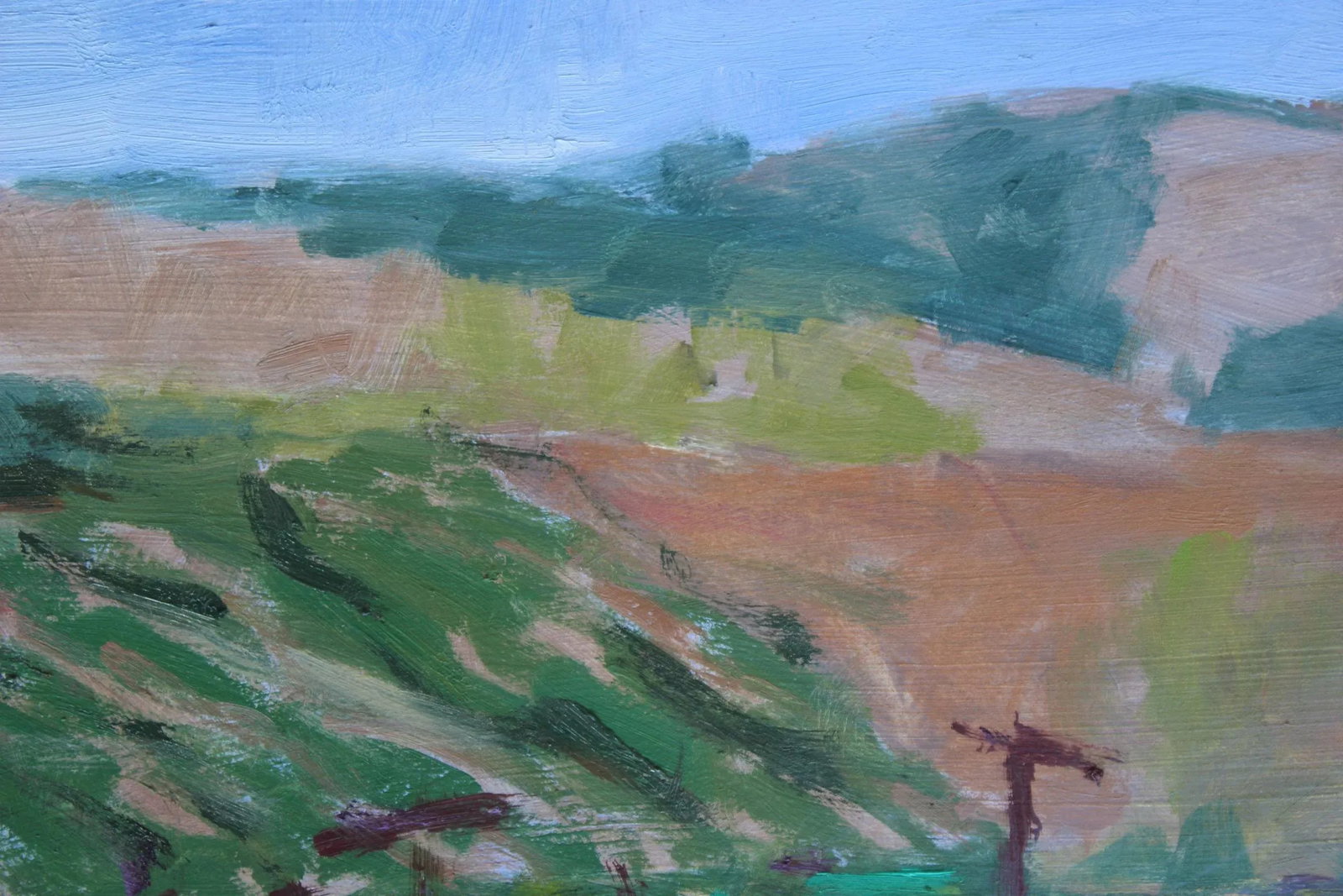 Sonoma Vines, Contemporary Plein Air Oil Painting - 9