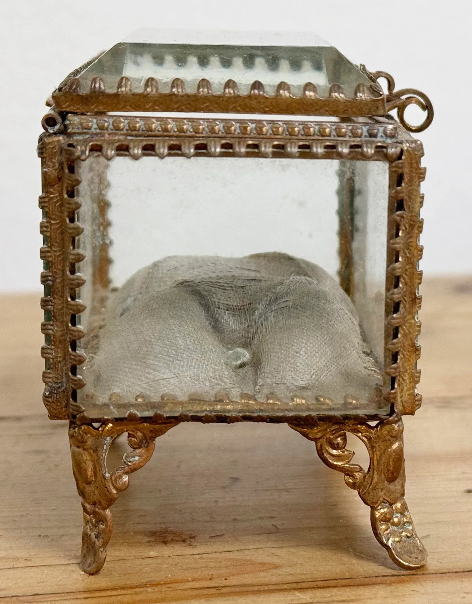Antique Brass and Glass Vitrine Jewelry Box With Silk Cushion - 10