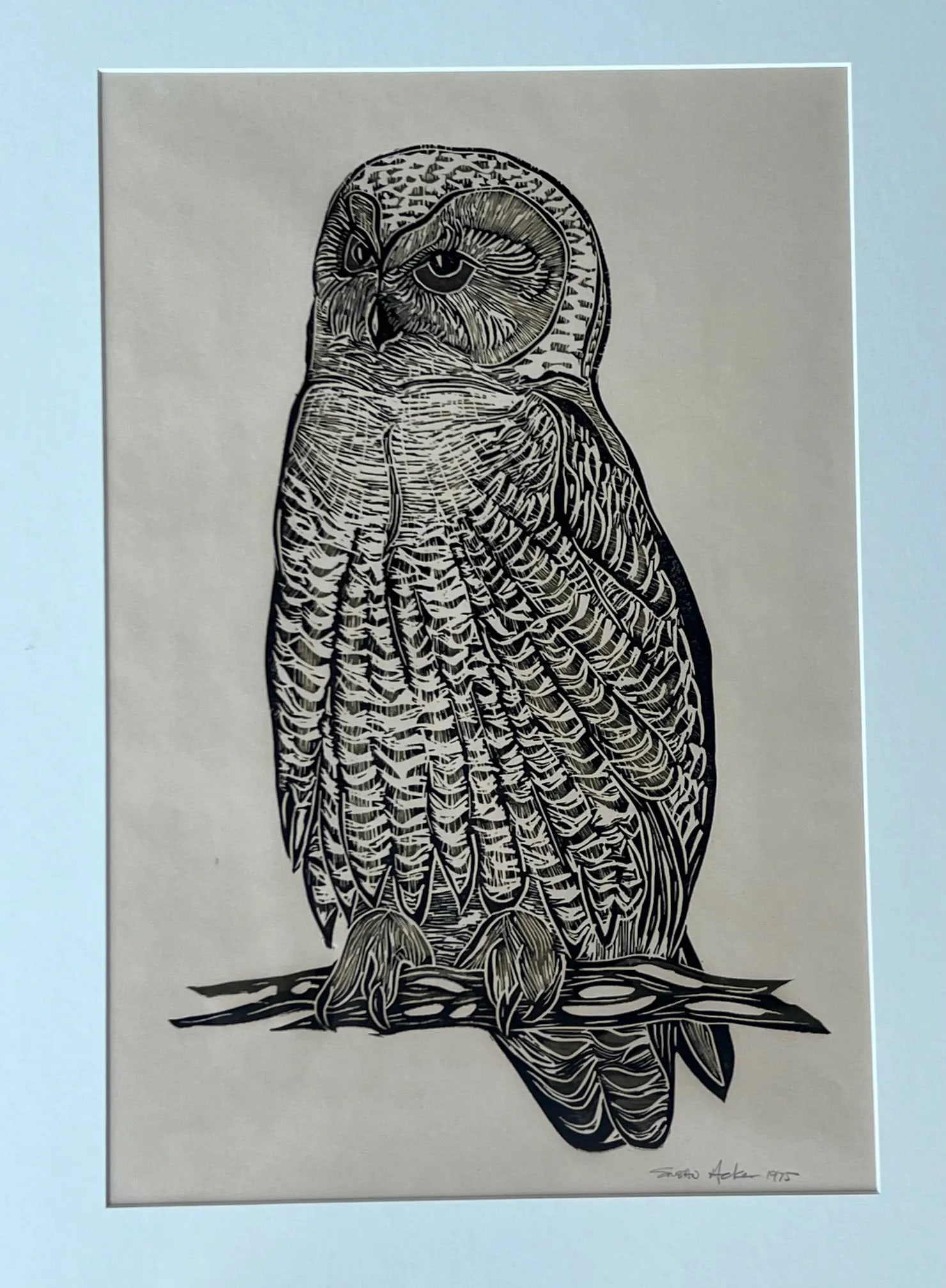 Owl Woodblock Letterpress Print Signed by Susan Acker, C. 1975 - 3
