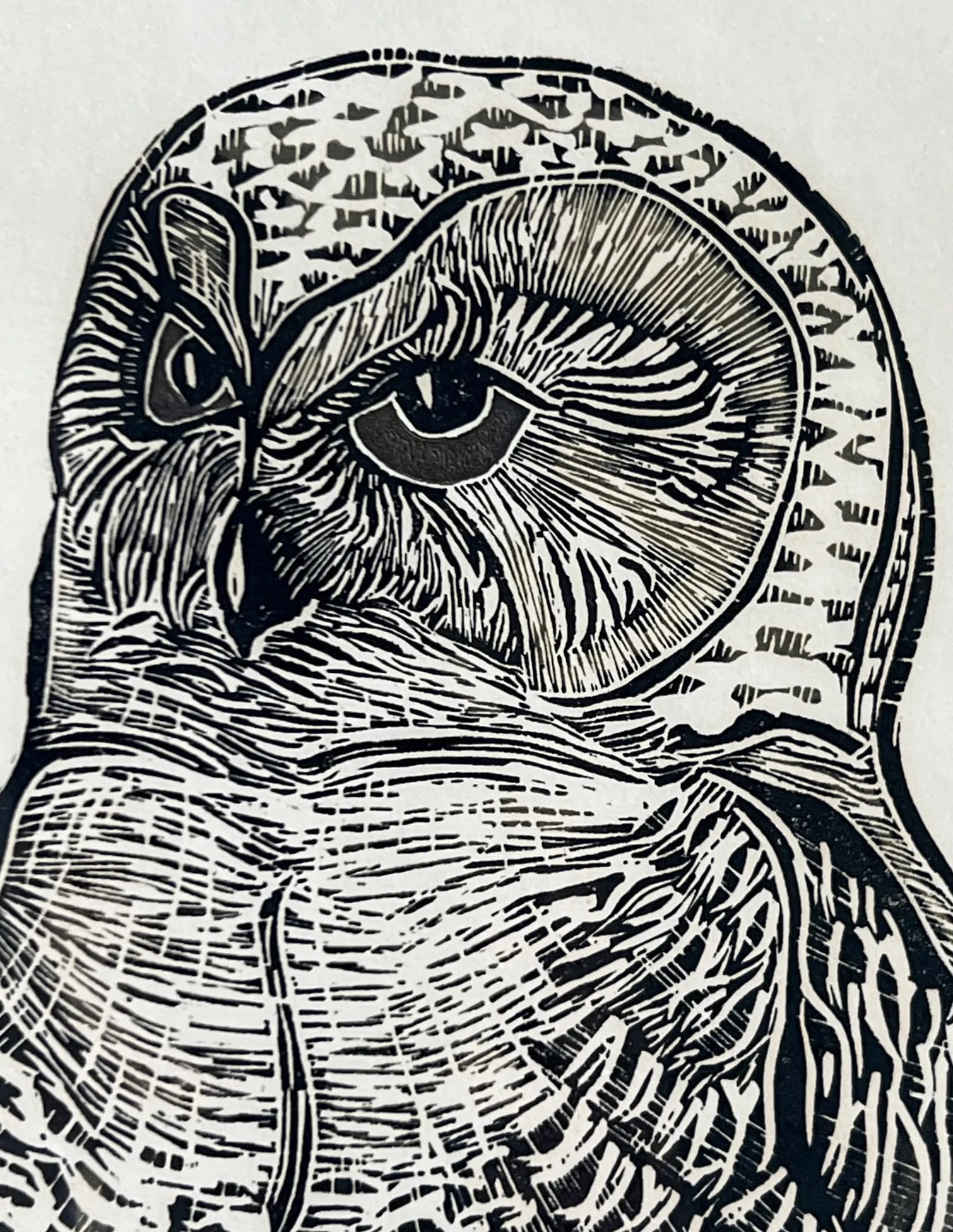 Owl Woodblock Letterpress Print Signed by Susan Acker, C. 1975 - 4