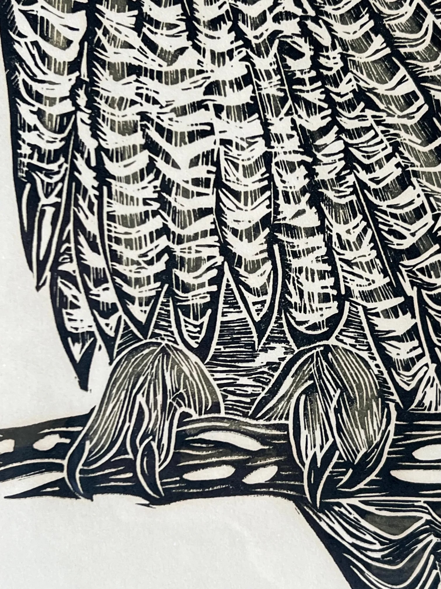 Owl Woodblock Letterpress Print Signed by Susan Acker, C. 1975 - 5