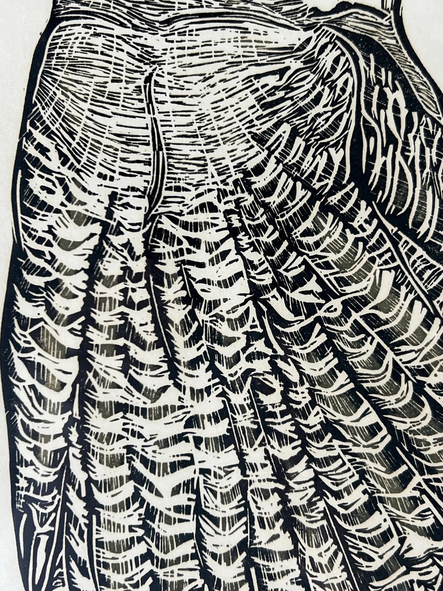 Owl Woodblock Letterpress Print Signed by Susan Acker, C. 1975 - 8