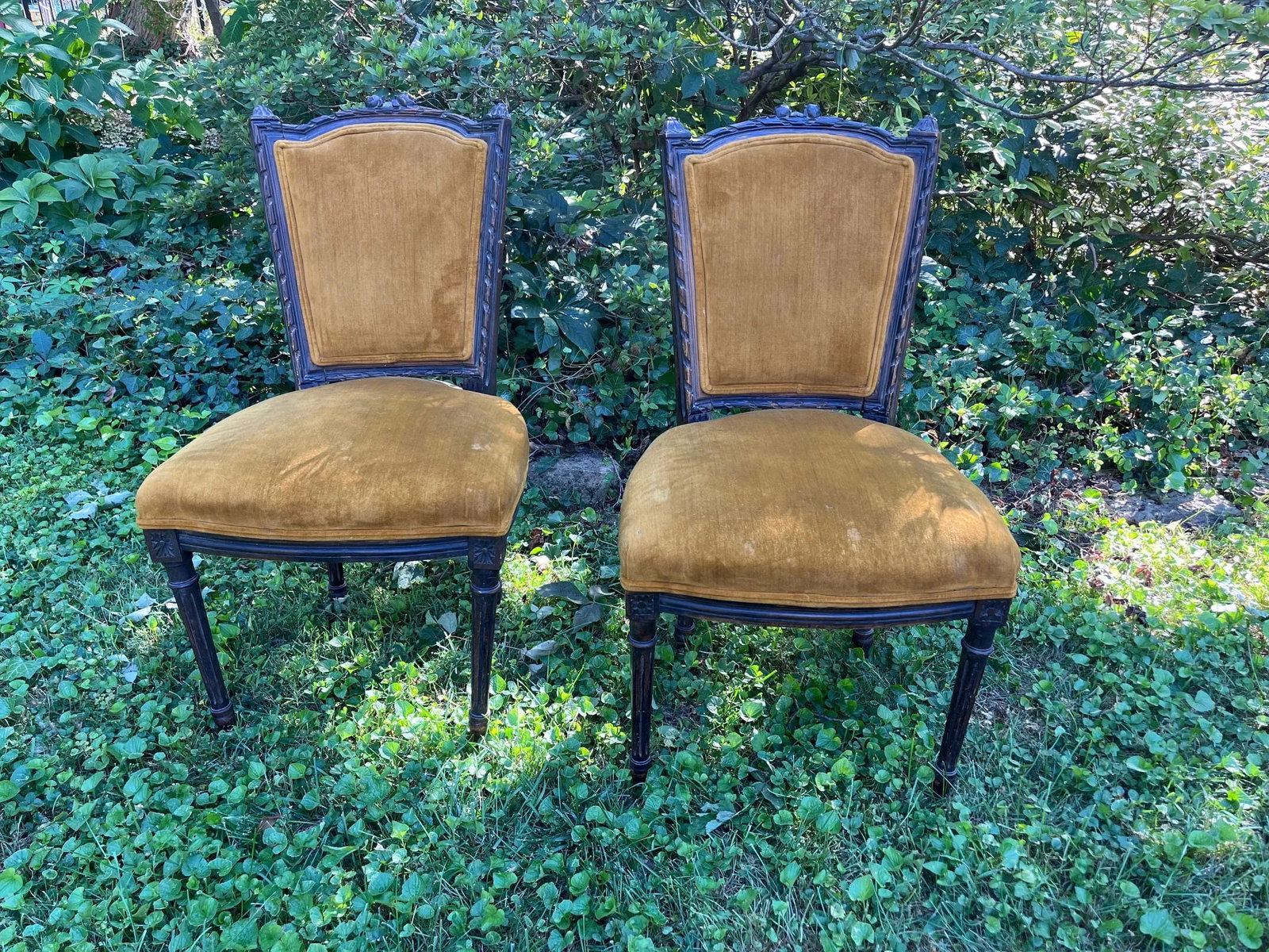 Late 19th Century Pair of Louis XVI Style Side Chairs - 7