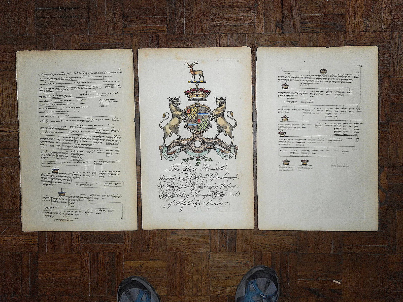 Antique 18th Century Copperplate Engravings-Heraldry Crest & Family Tree-13"x19.5" - Set of 3 - 6