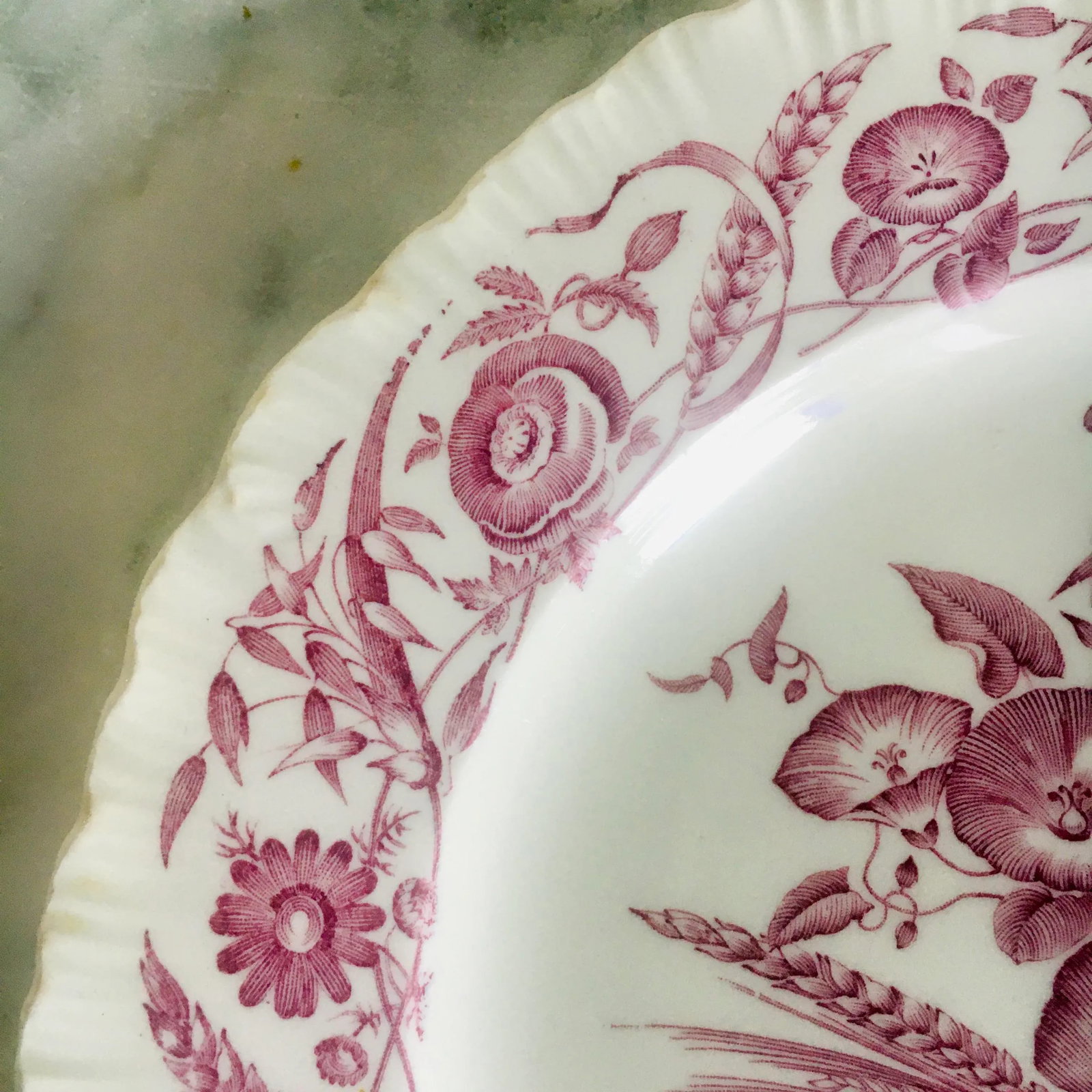 Wedgwood 10" "Cornflower" Pattern Dinner Plate - 3