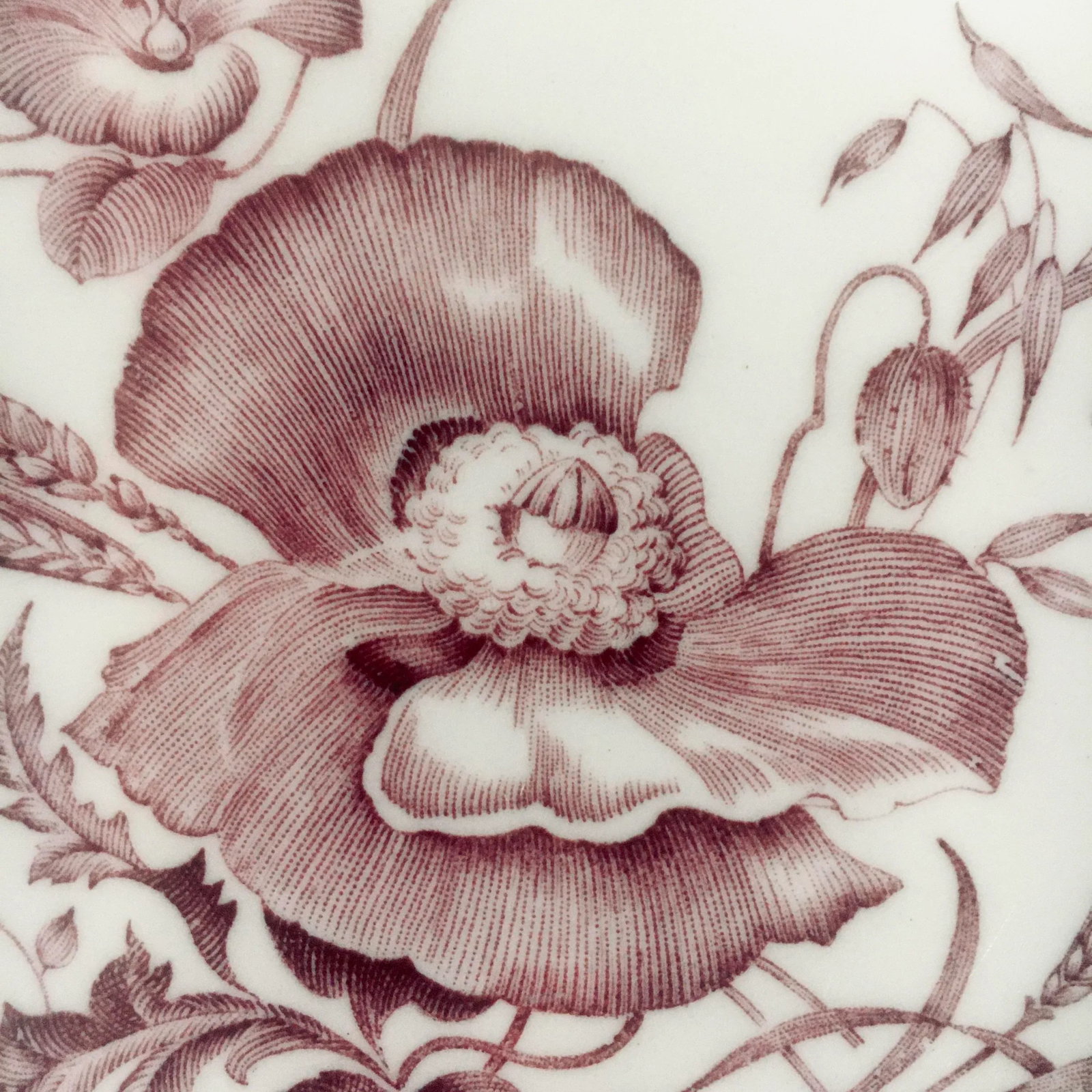 Wedgwood 10" "Cornflower" Pattern Dinner Plate - 4