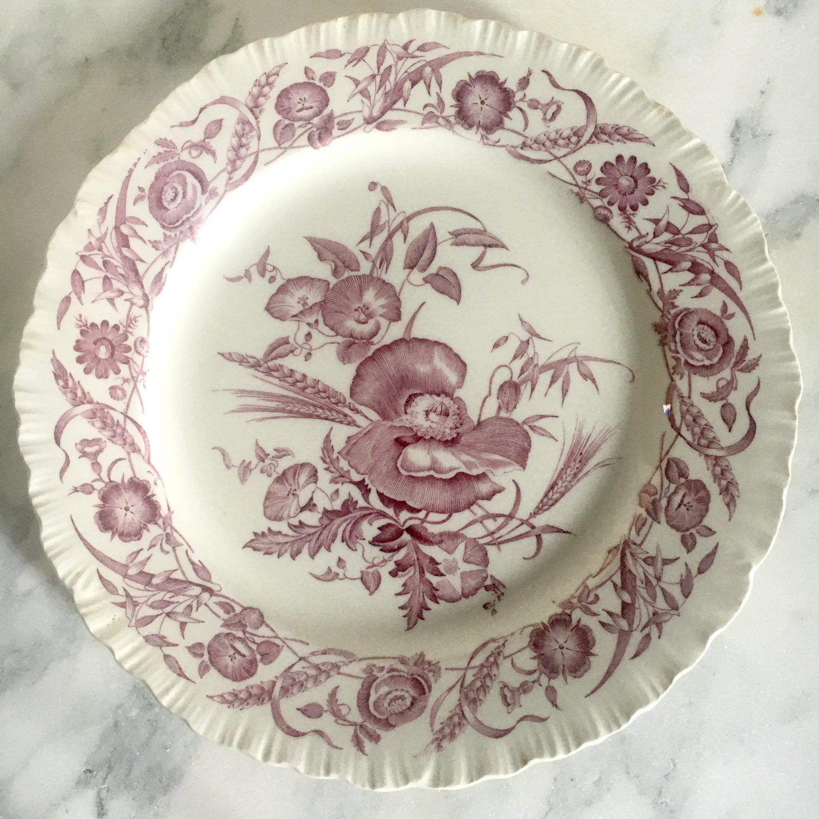 Wedgwood 10" "Cornflower" Pattern Dinner Plate - 8