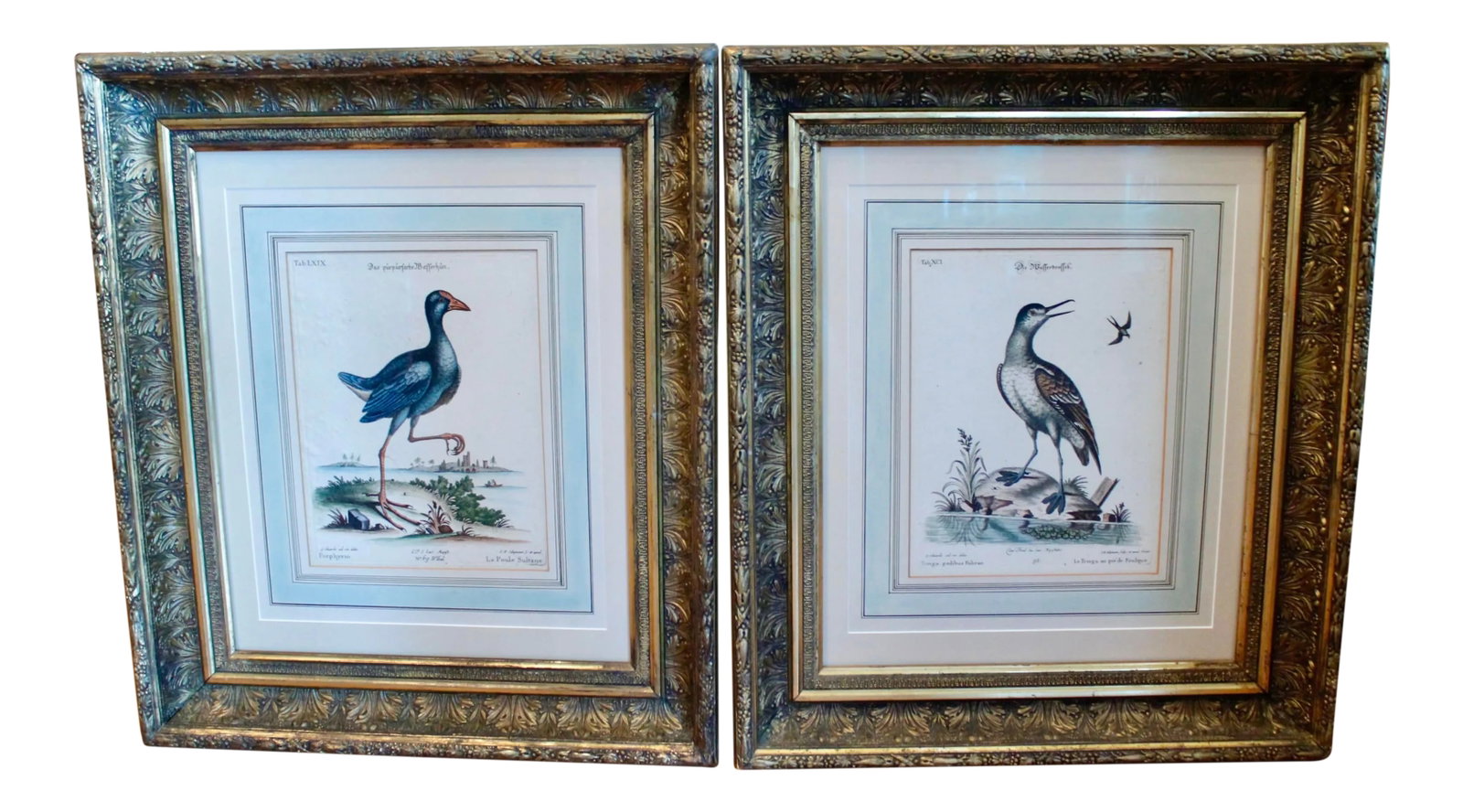 Pair of George Edwards Bird Engravings, in Fine Antique Gilt Frames: A handsome pair of original ca. 1760 bird engravings, with charming landscapes by British naturalist and ornithologist George Edwards (1694-1773), engraved by J.M. Seligman (1720-1762). The bold prese