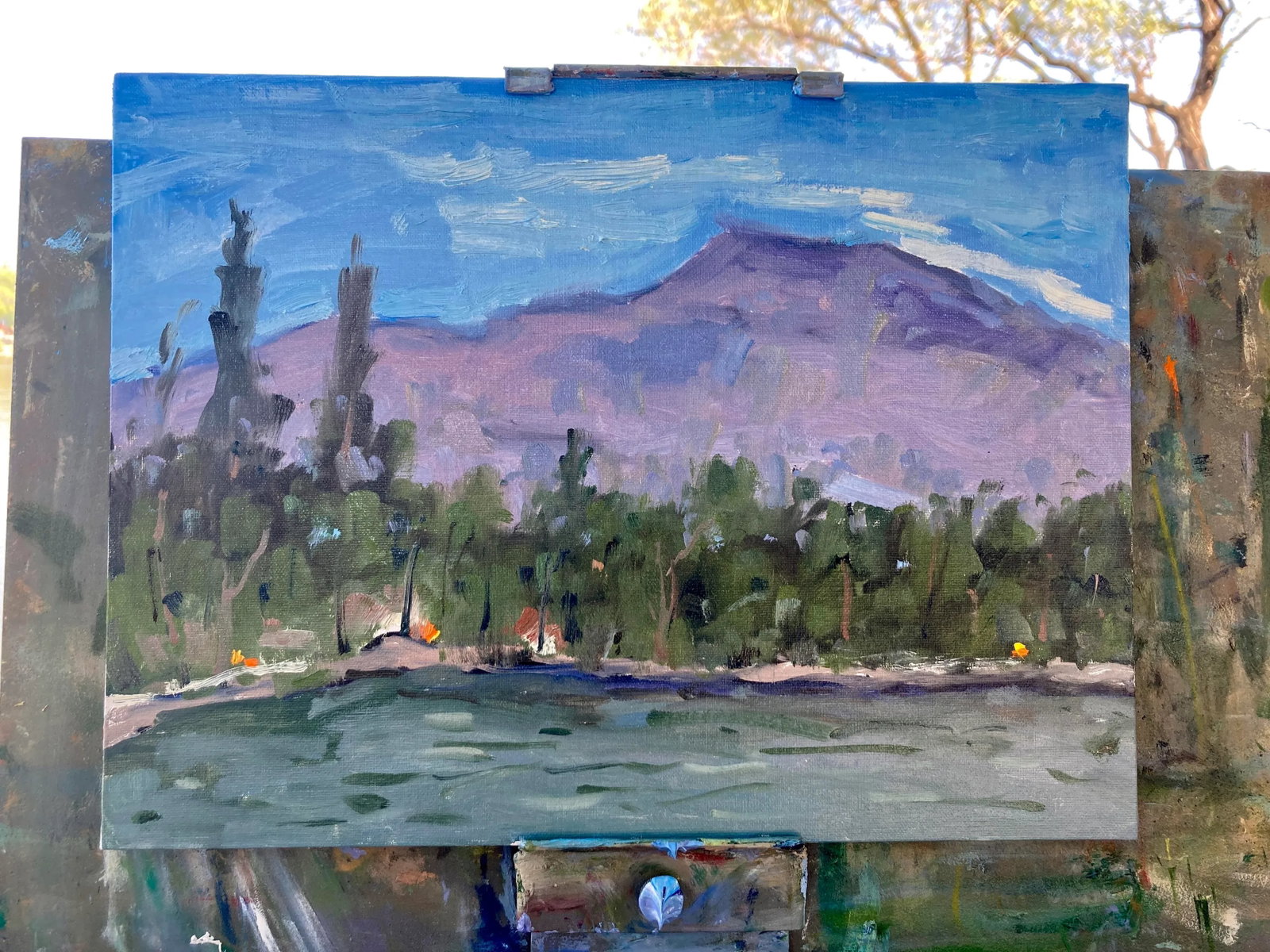 Modern Plein Air Landscape Oil Painting by Lisa Haas - 5