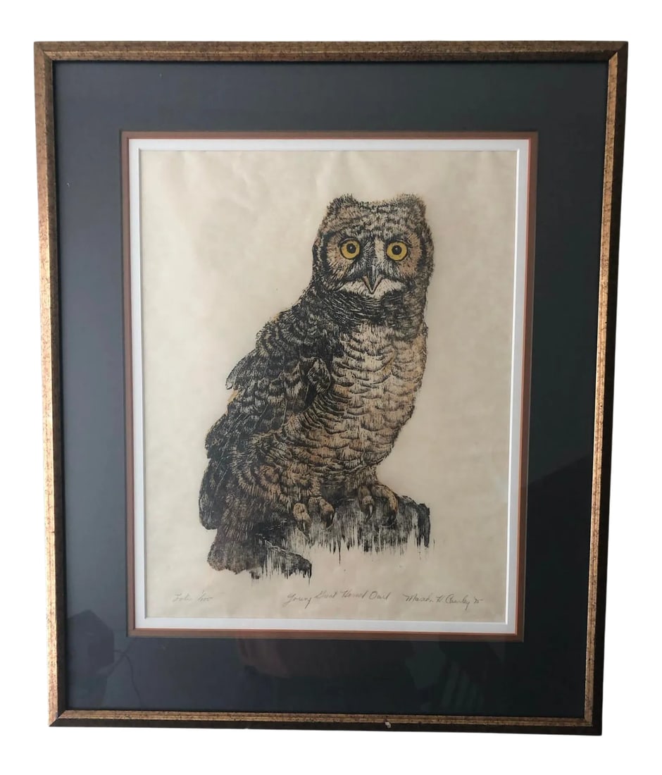 1975 Martha Cawley Owl Woodblock, "Young Great Horned Owl", #1/100, Framed: 1970s Martha Cawley owl woodblock print on rice paper, Young Great Horned Owl. Double matted in black and brown. Gold frame. It is from a woodblock series entitled, "The North American Owl