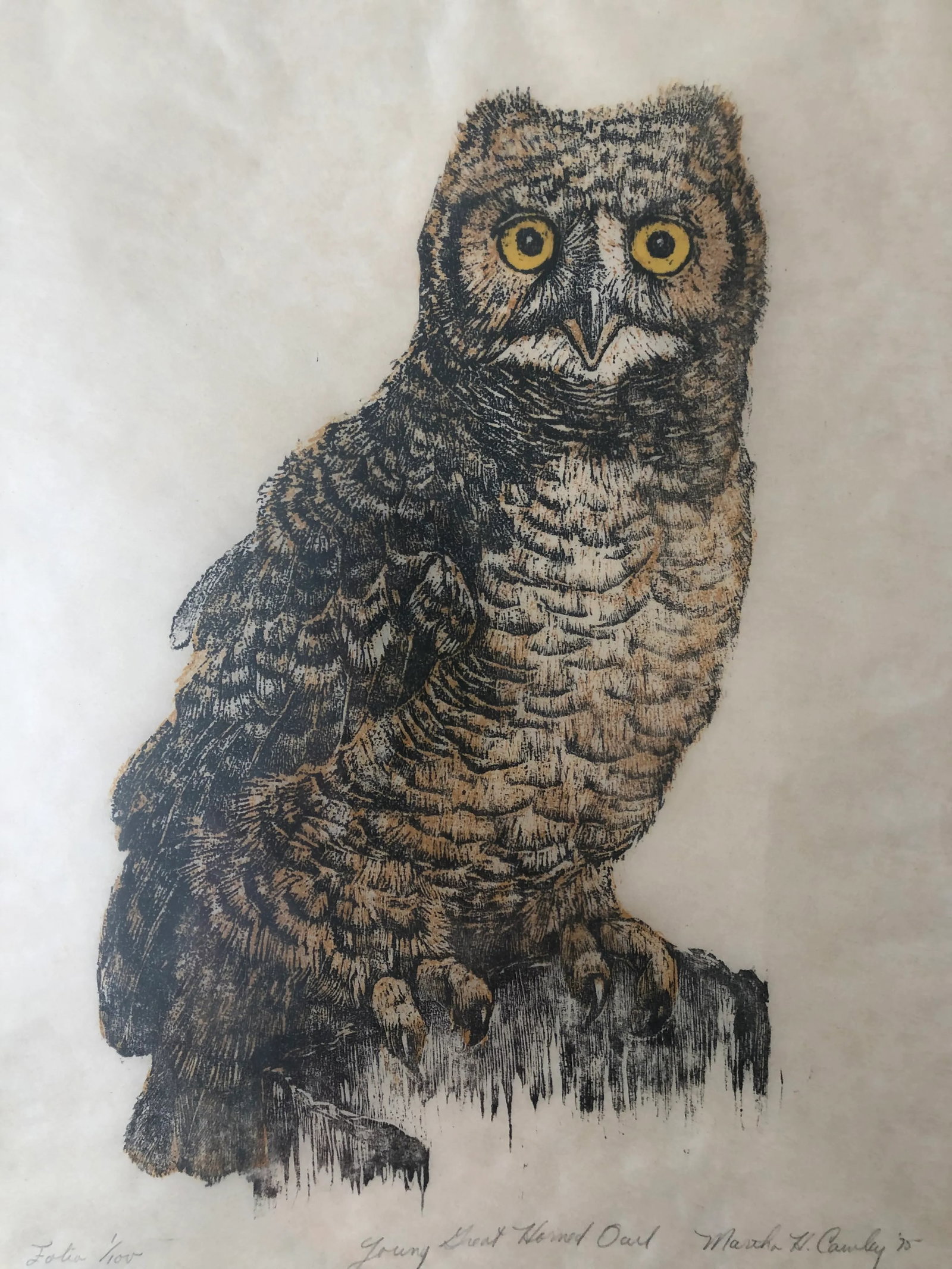 1975 Martha Cawley Owl Woodblock, "Young Great Horned Owl", #1/100, Framed - 2